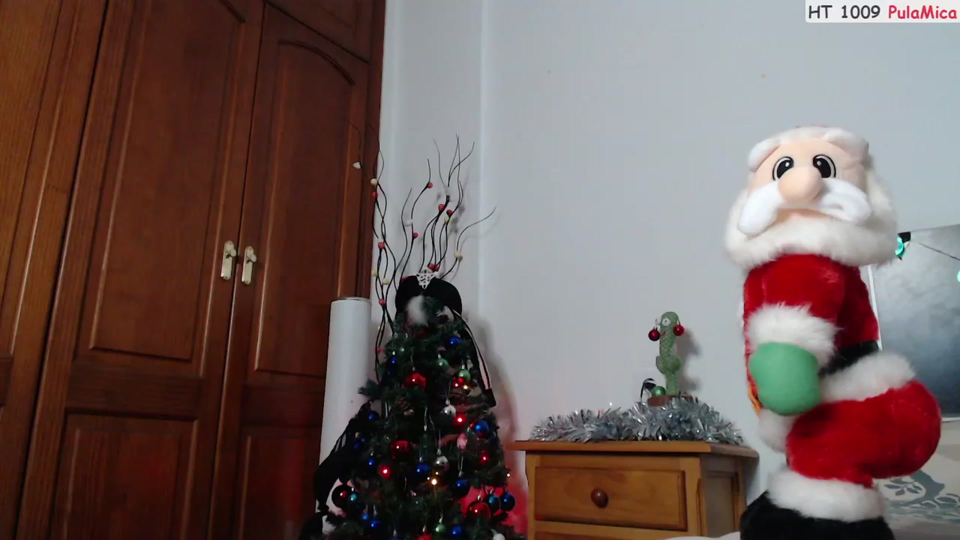 Gallery image thumbnail from Deeleerious's myfreecams stream on, 12/25/2023, 24:29 image 20 of 20