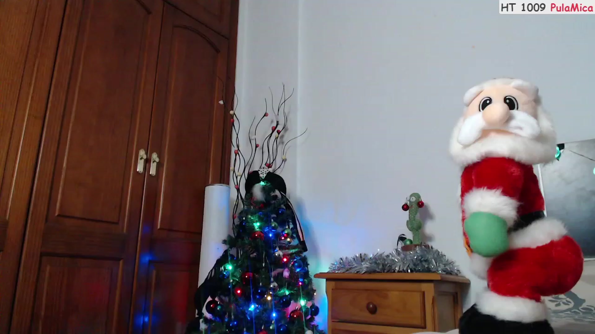 Gallery image thumbnail from Deeleerious's myfreecams stream on, 12/25/2023, 01:54 image 5 of 20