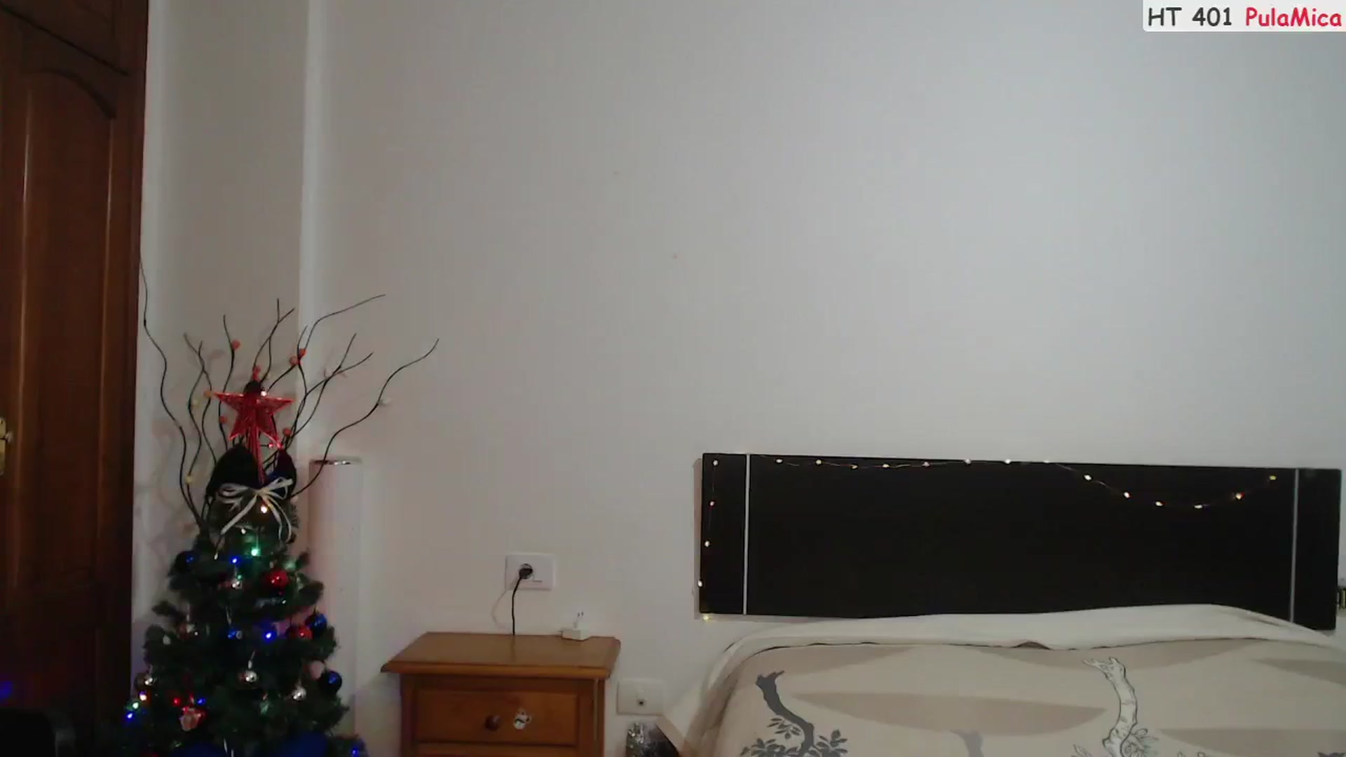 Gallery image thumbnail from Deeleerious's myfreecams stream on, 01/01/2025, 01:05 image 19 of 20
