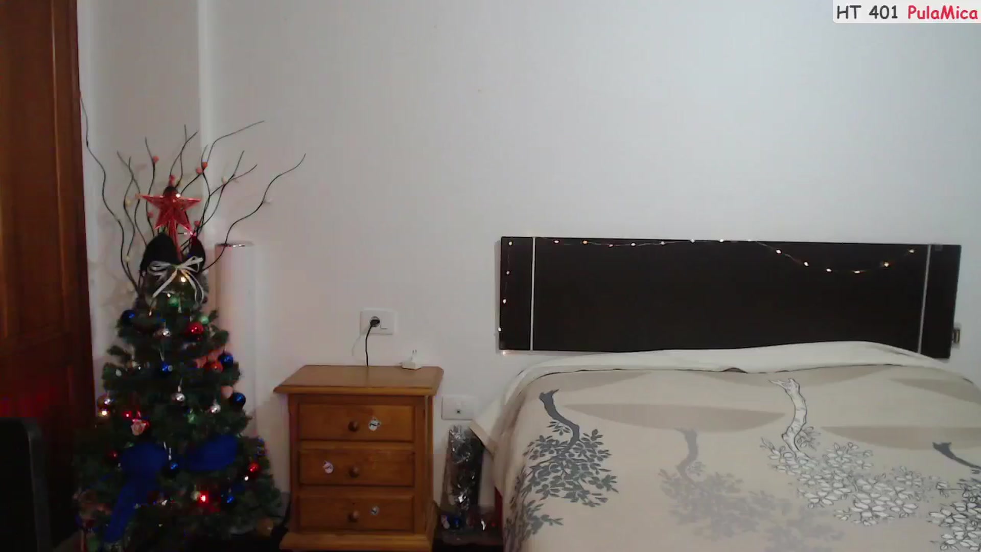 Gallery image thumbnail from Deeleerious's myfreecams stream on, 01/01/2025, 02:54 image 17 of 20
