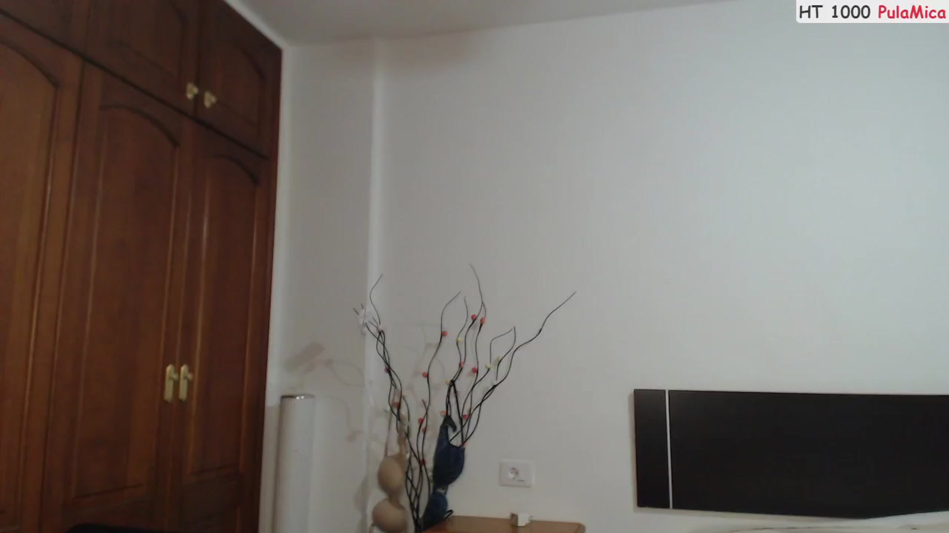 Gallery image thumbnail from Deeleerious's myfreecams stream on, 05/19/2025, 24:03 image 9 of 20