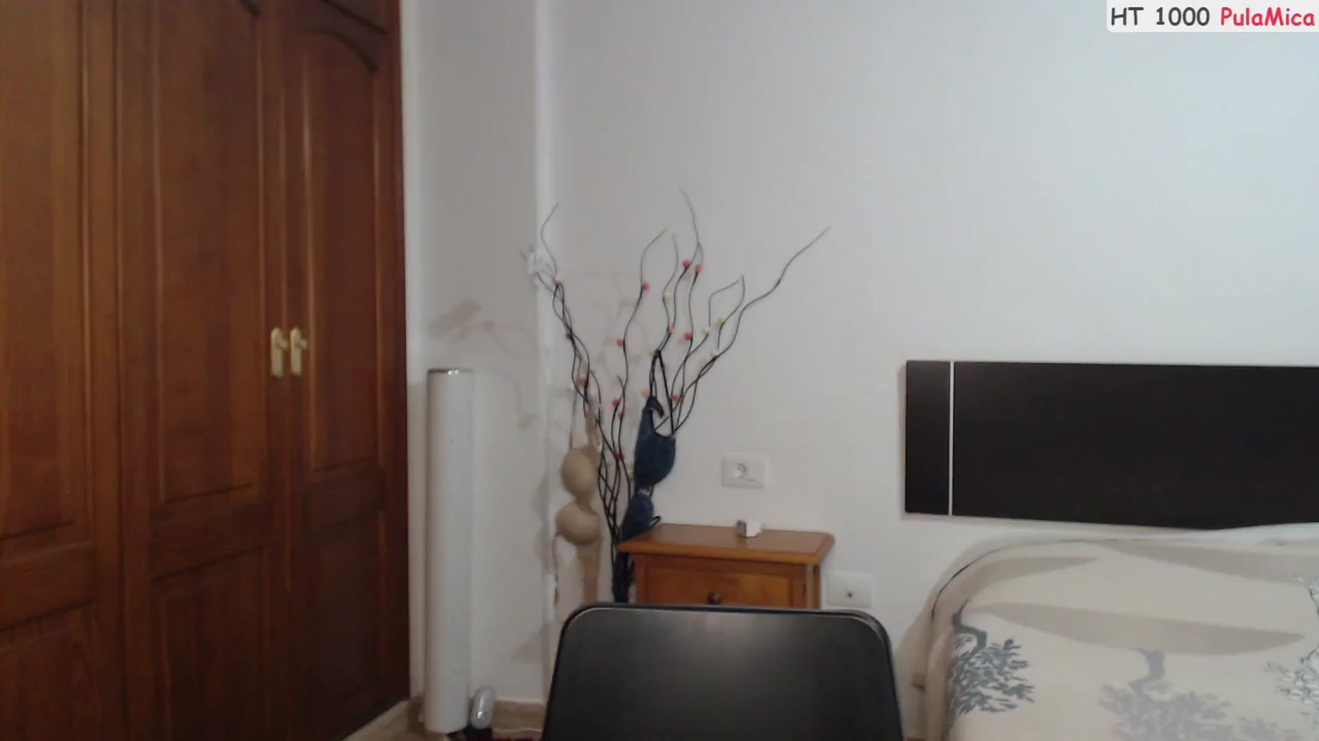 Gallery image thumbnail from Deeleerious's myfreecams stream on, 05/19/2025, 24:47 image 2 of 20