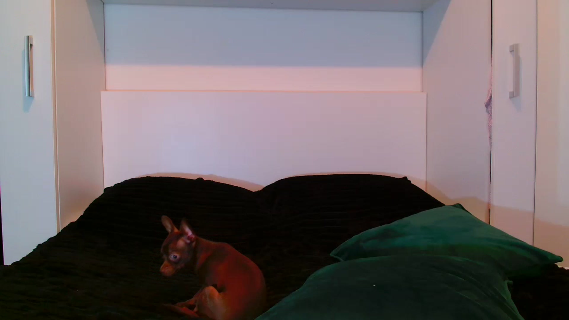 Gallery image thumbnail from Deelicioussss's myfreecams stream on, 11/28/2022, 23:00 image 6 of 20