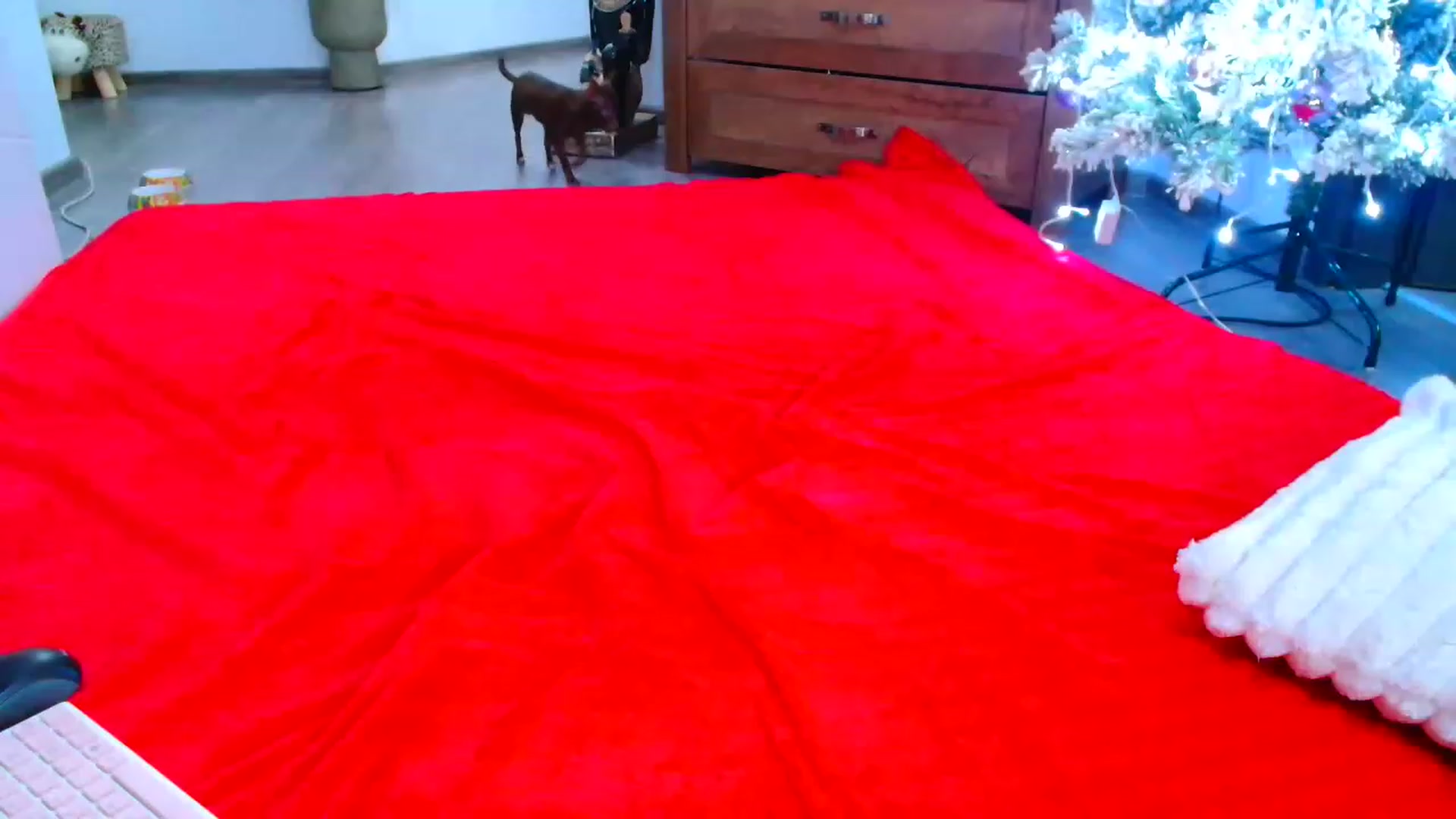 Gallery image thumbnail from Deelicioussss's myfreecams stream on, 12/20/2022, 22:04 image 12 of 20