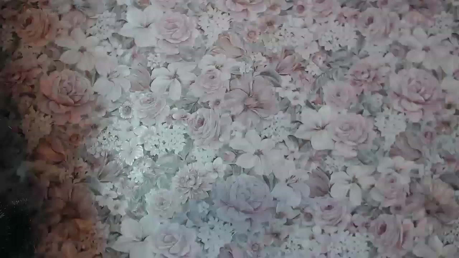 Gallery image thumbnail from Deep_Love_'s myfreecams stream on, 12/12/2022, 15:16 image 16 of 20