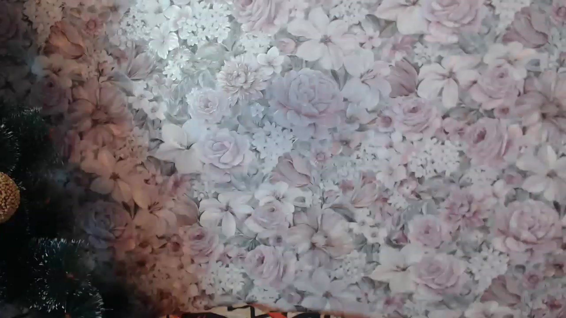 Gallery image thumbnail from Deep_Love_'s myfreecams stream on, 12/18/2022, 13:27 image 14 of 20