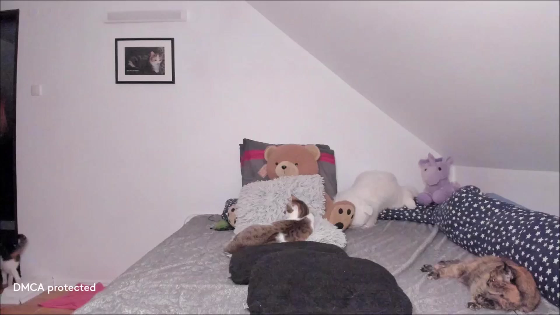 Gallery image thumbnail from Deessert's myfreecams stream on, 12/17/2025, 03:38 image 1 of 20