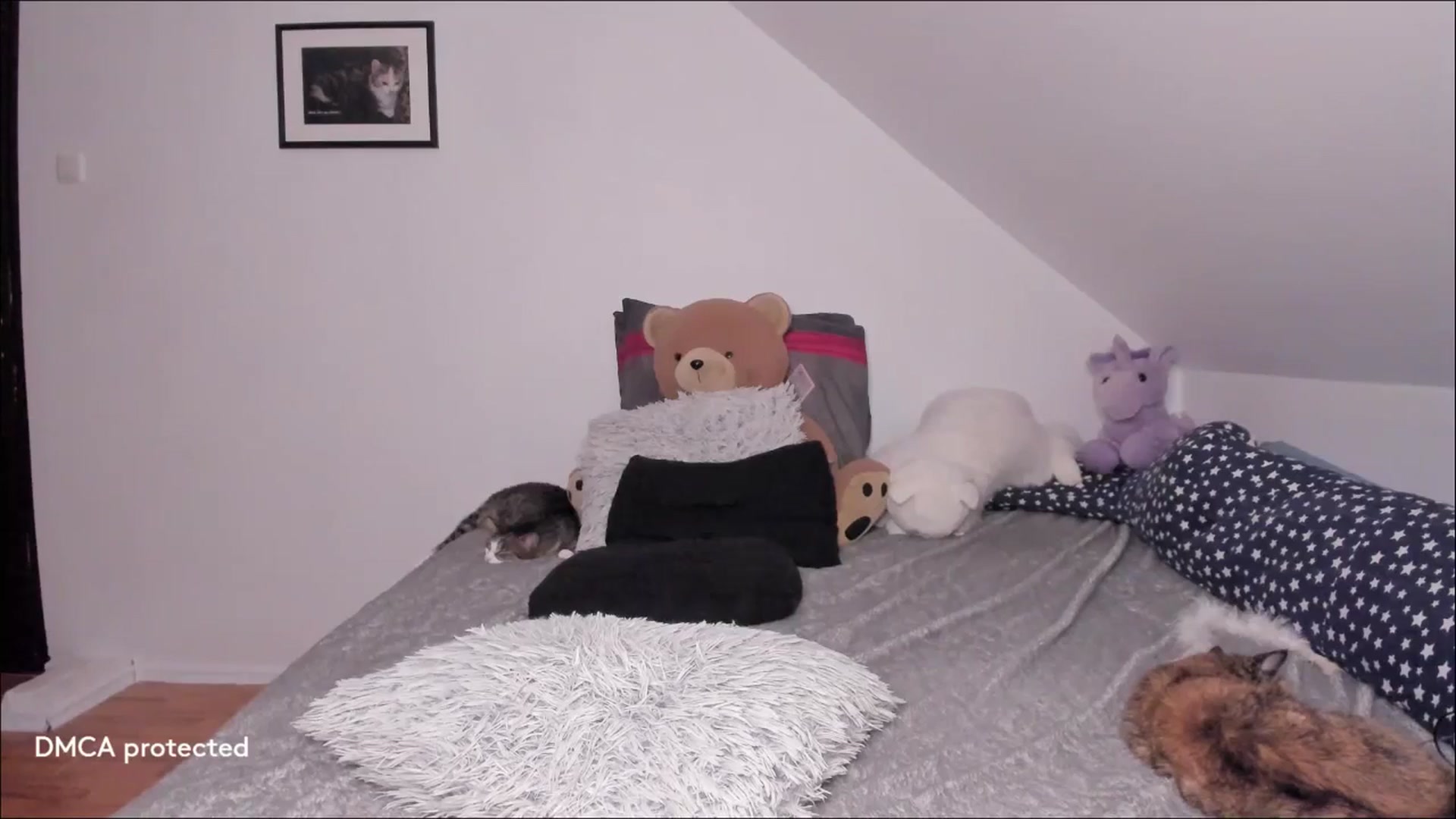 Gallery image thumbnail from Deessert's myfreecams stream on, 12/18/2025, 04:44 image 2 of 20