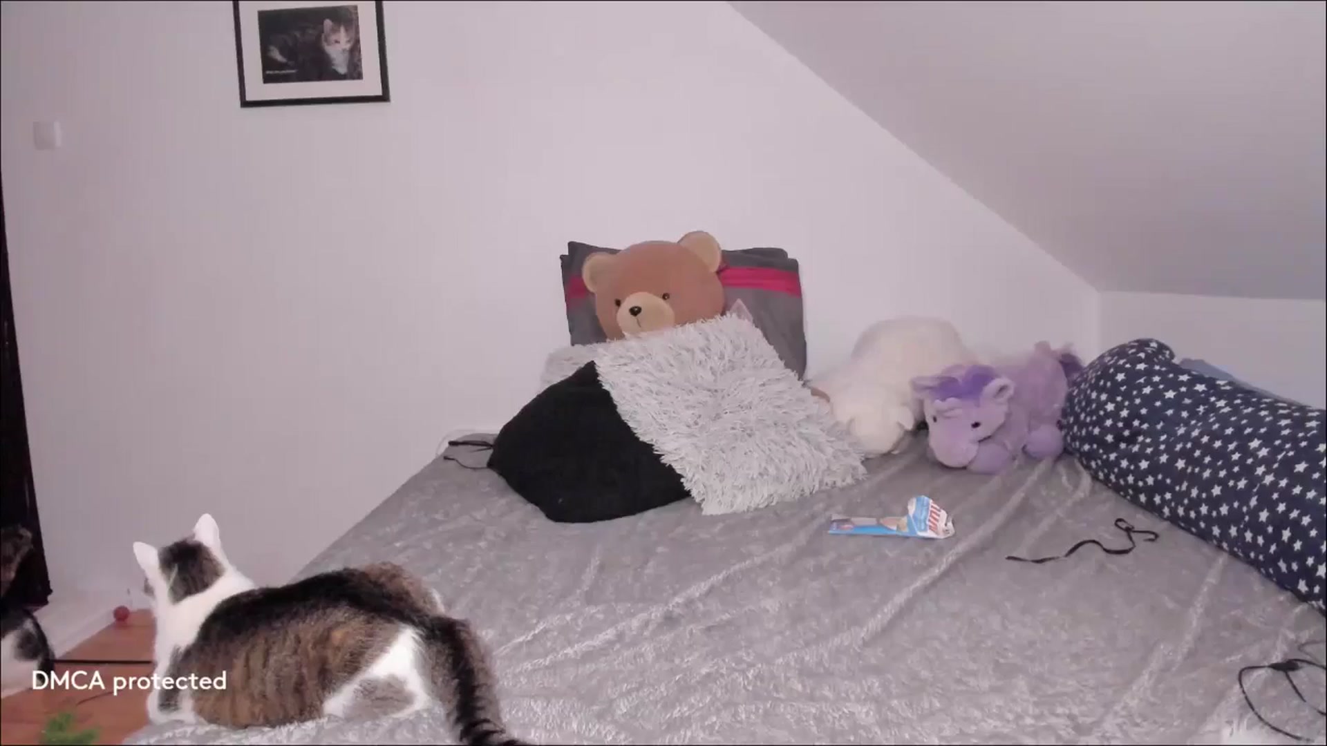 Gallery image thumbnail from Deessert's myfreecams stream on, 12/19/2025, 04:02 image 18 of 20