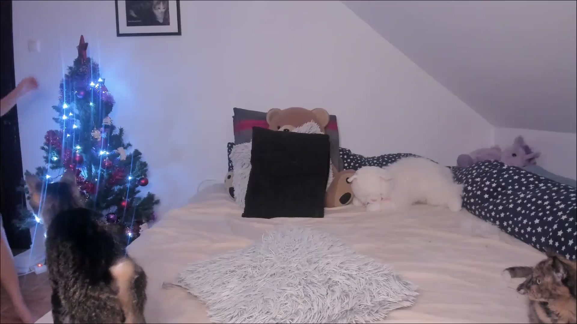 Gallery image thumbnail from Deessert's myfreecams stream on, 12/26/2025, 03:32 image 4 of 20