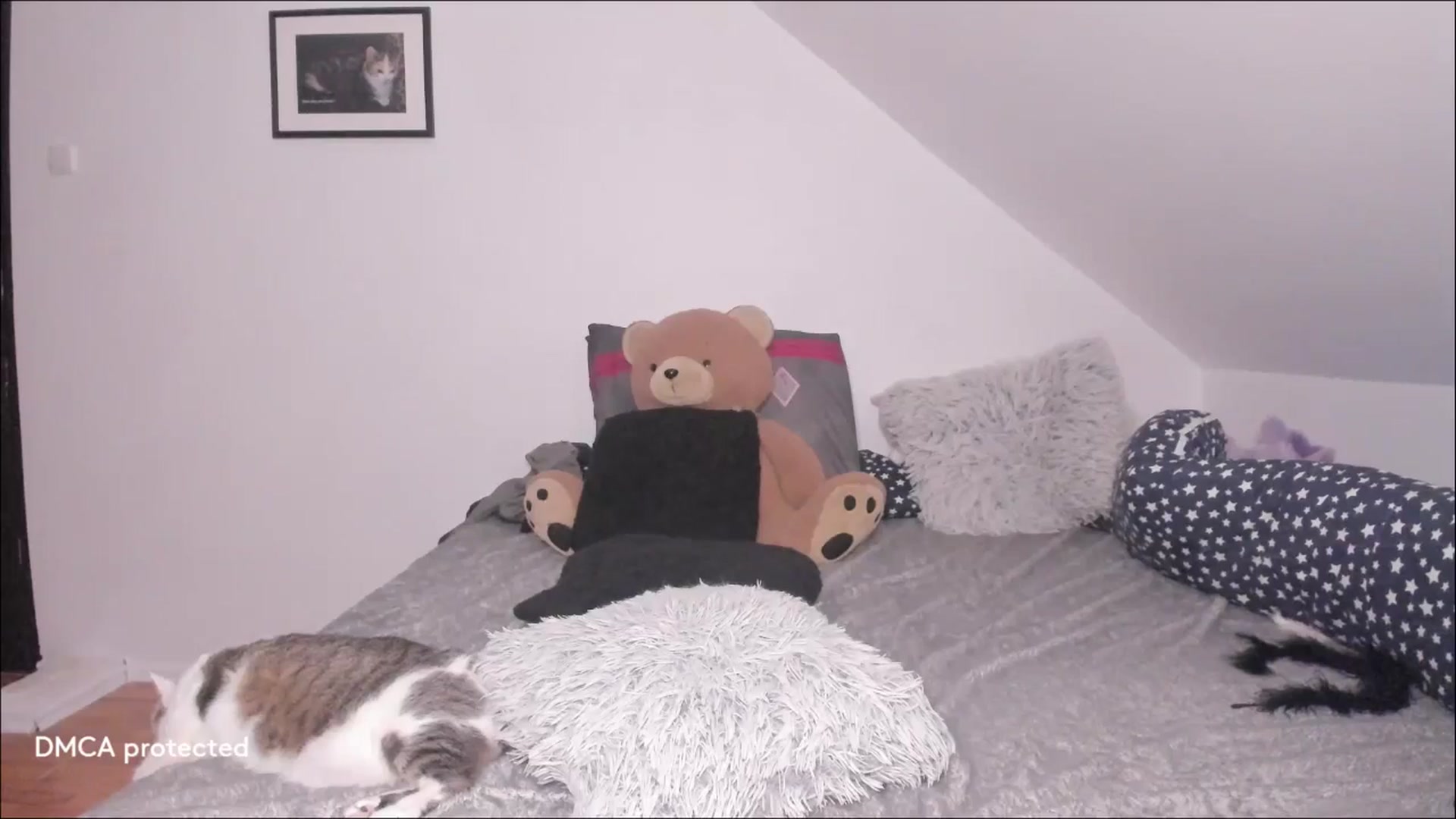 Gallery image thumbnail from Deessert's myfreecams stream on, 01/07/2026, 05:08 image 2 of 20