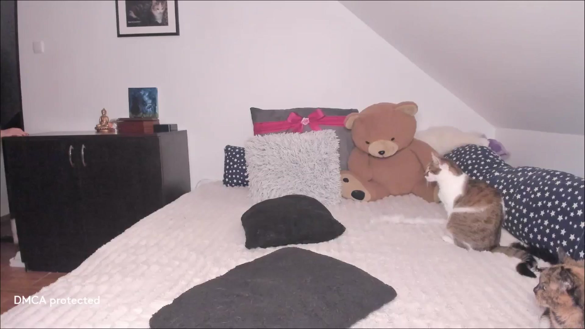 Gallery image thumbnail from Deessert's myfreecams stream on, 01/12/2026, 03:43 image 19 of 20