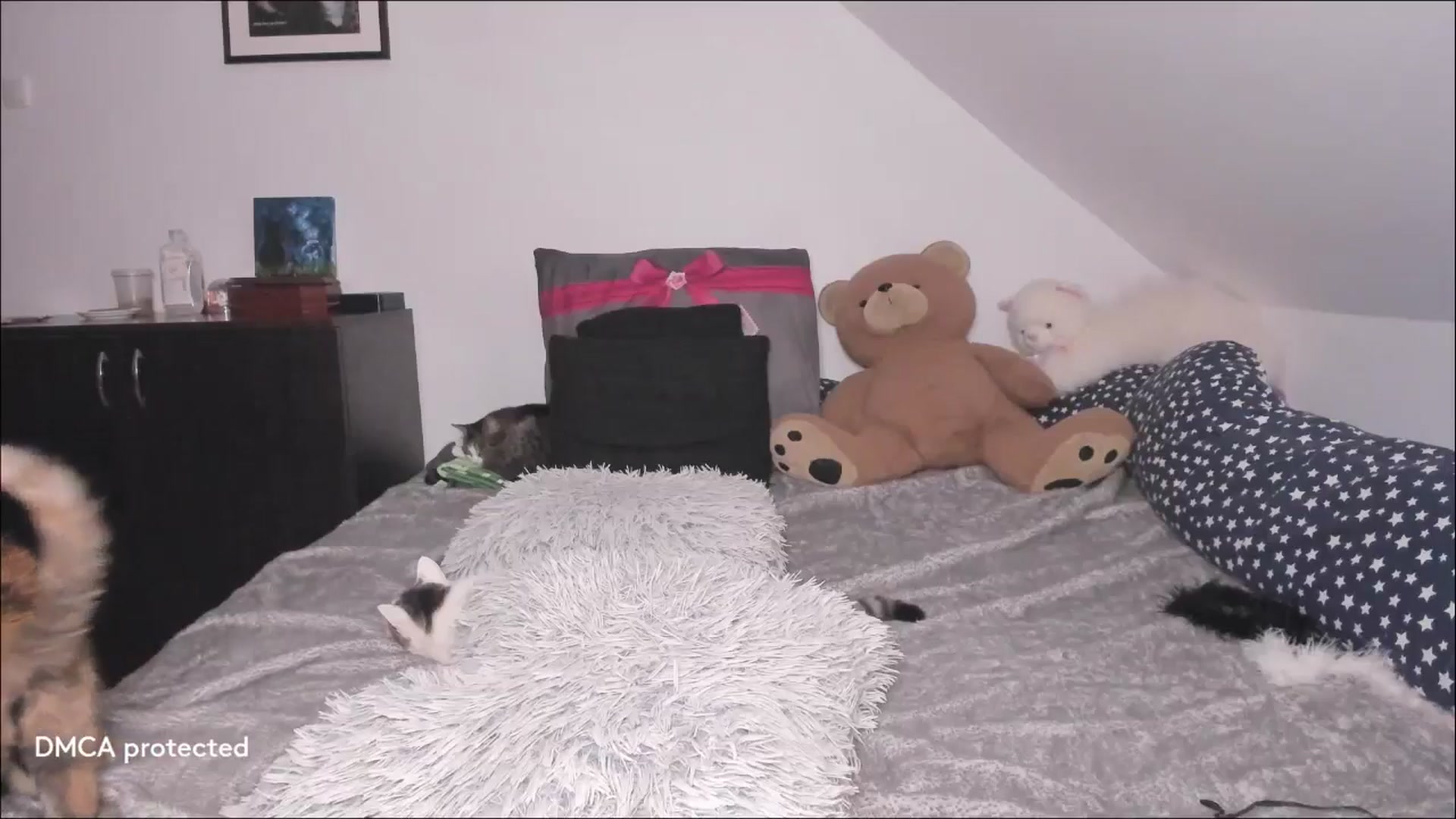 Gallery image thumbnail from Deessert's myfreecams stream on, 01/22/2026, 03:42 image 6 of 20