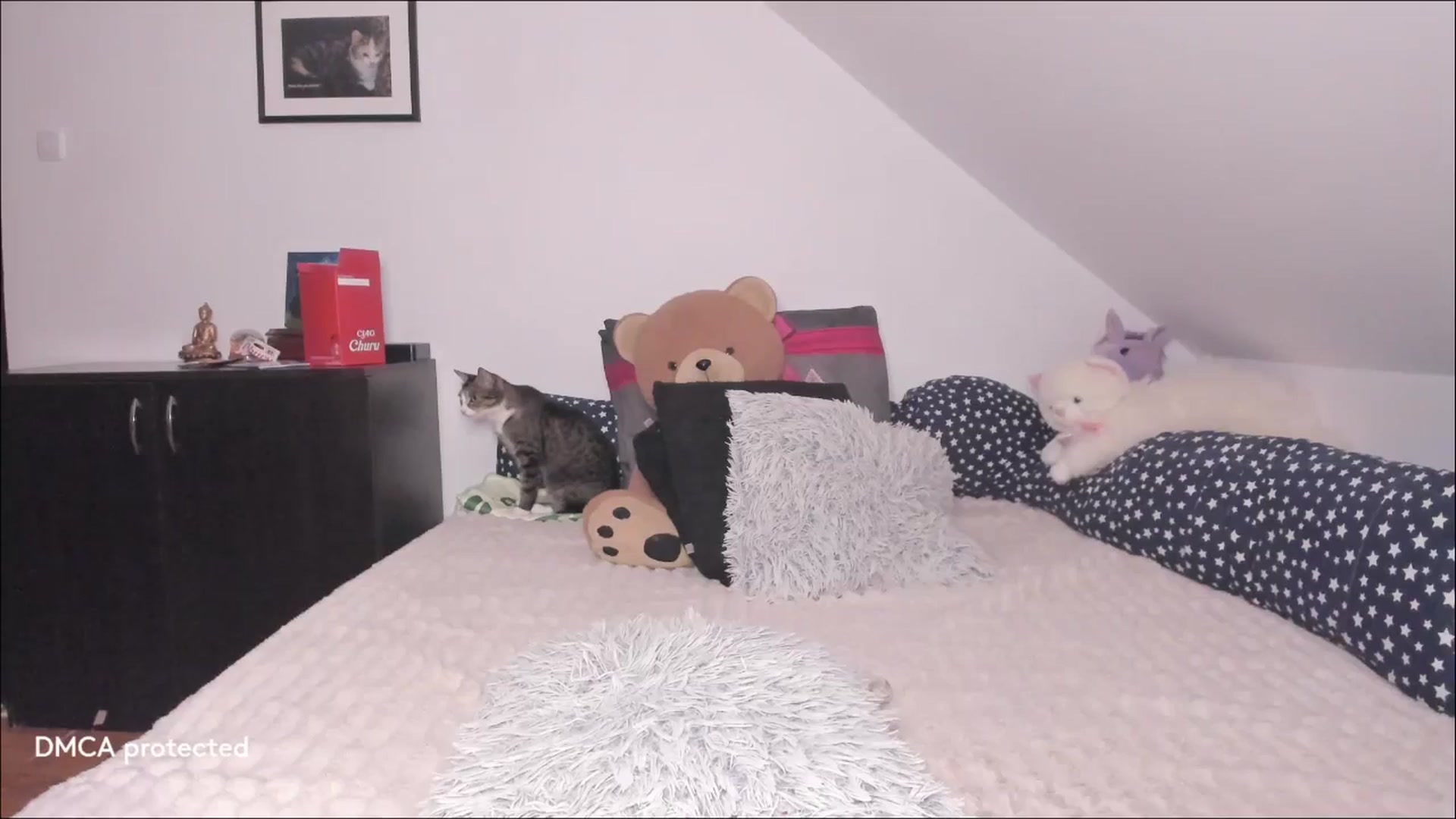 Gallery image thumbnail from Deessert's myfreecams stream on, 01/26/2026, 05:20 image 8 of 20