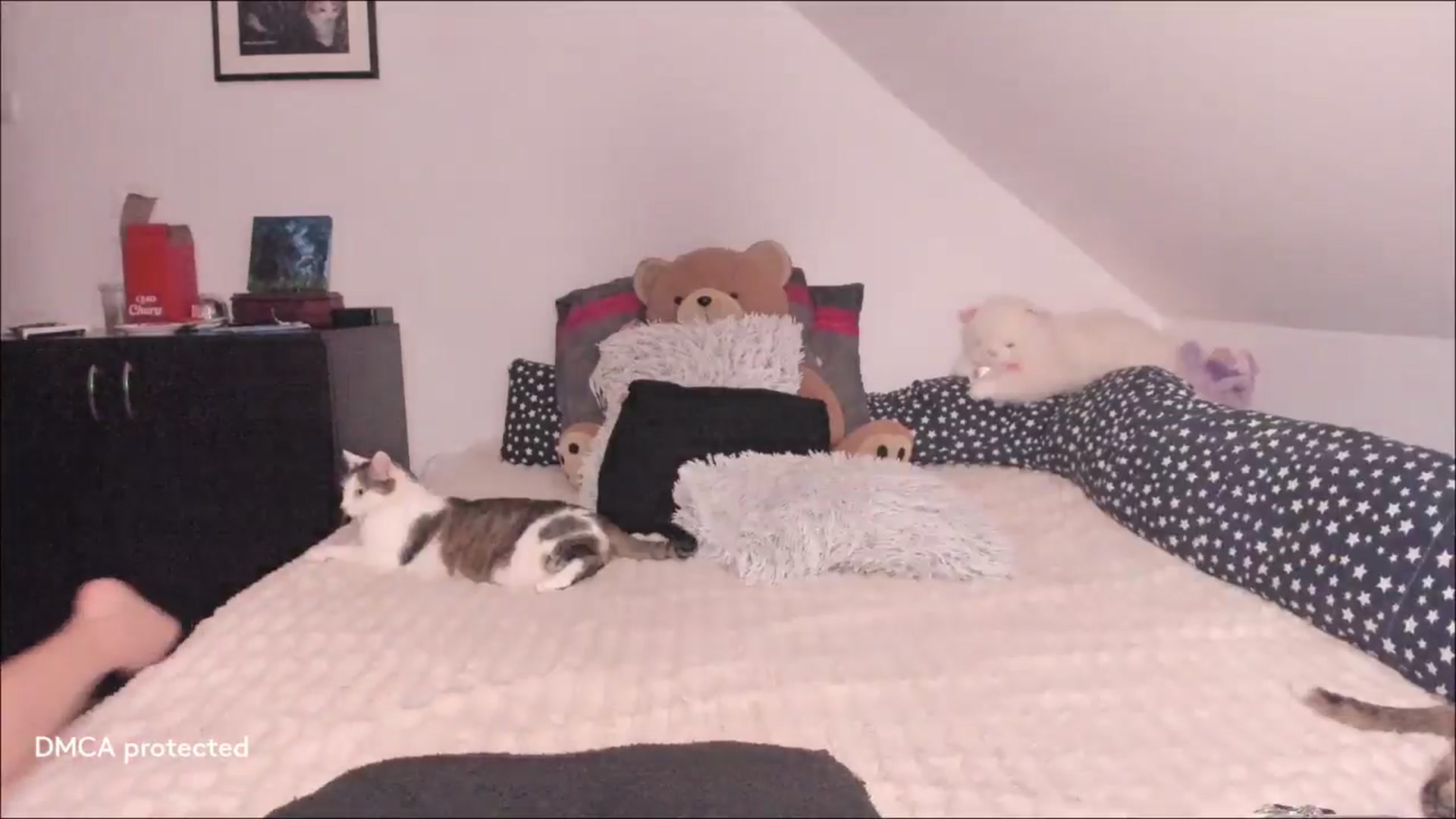 Gallery image thumbnail from Deessert's myfreecams stream on, 03/09/2026, 03:34 image 11 of 20