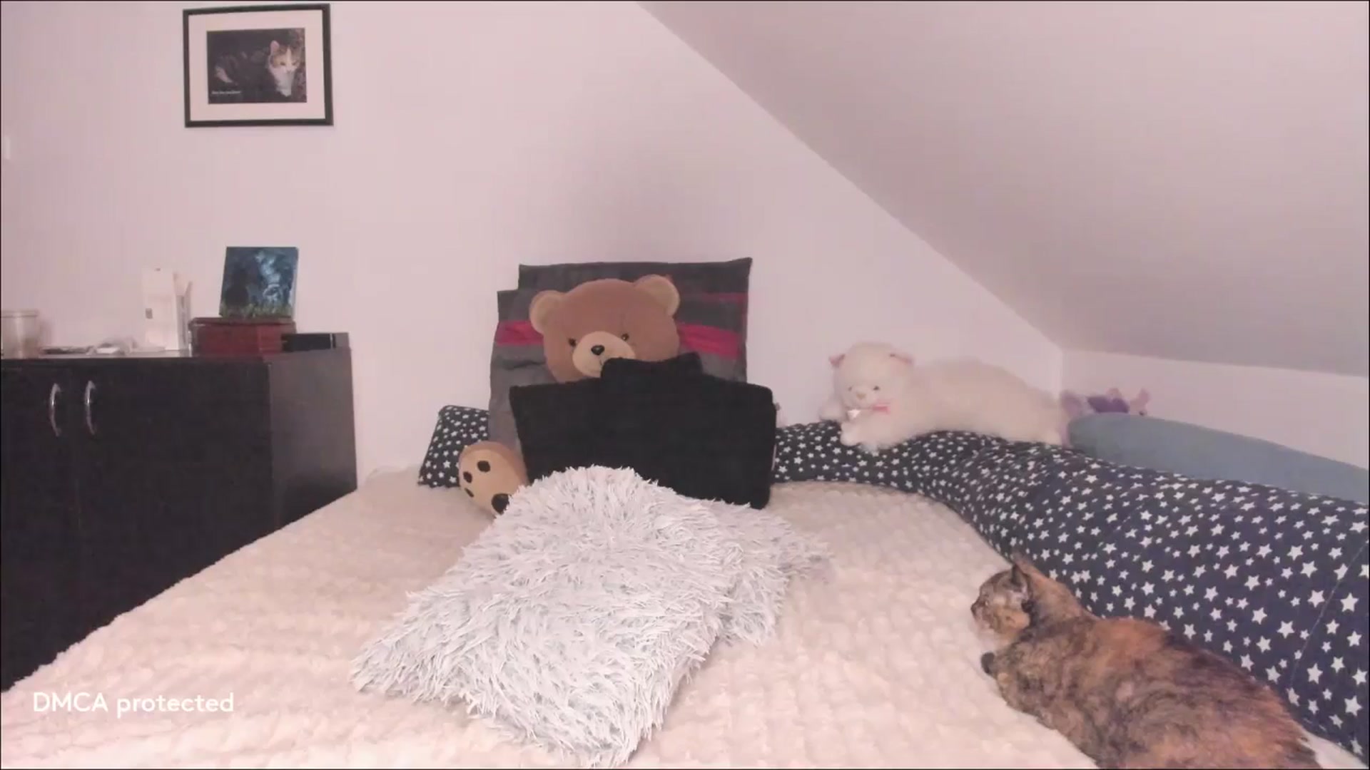 Gallery image thumbnail from Deessert's myfreecams stream on, 04/21/2026, 02:08 image 5 of 20