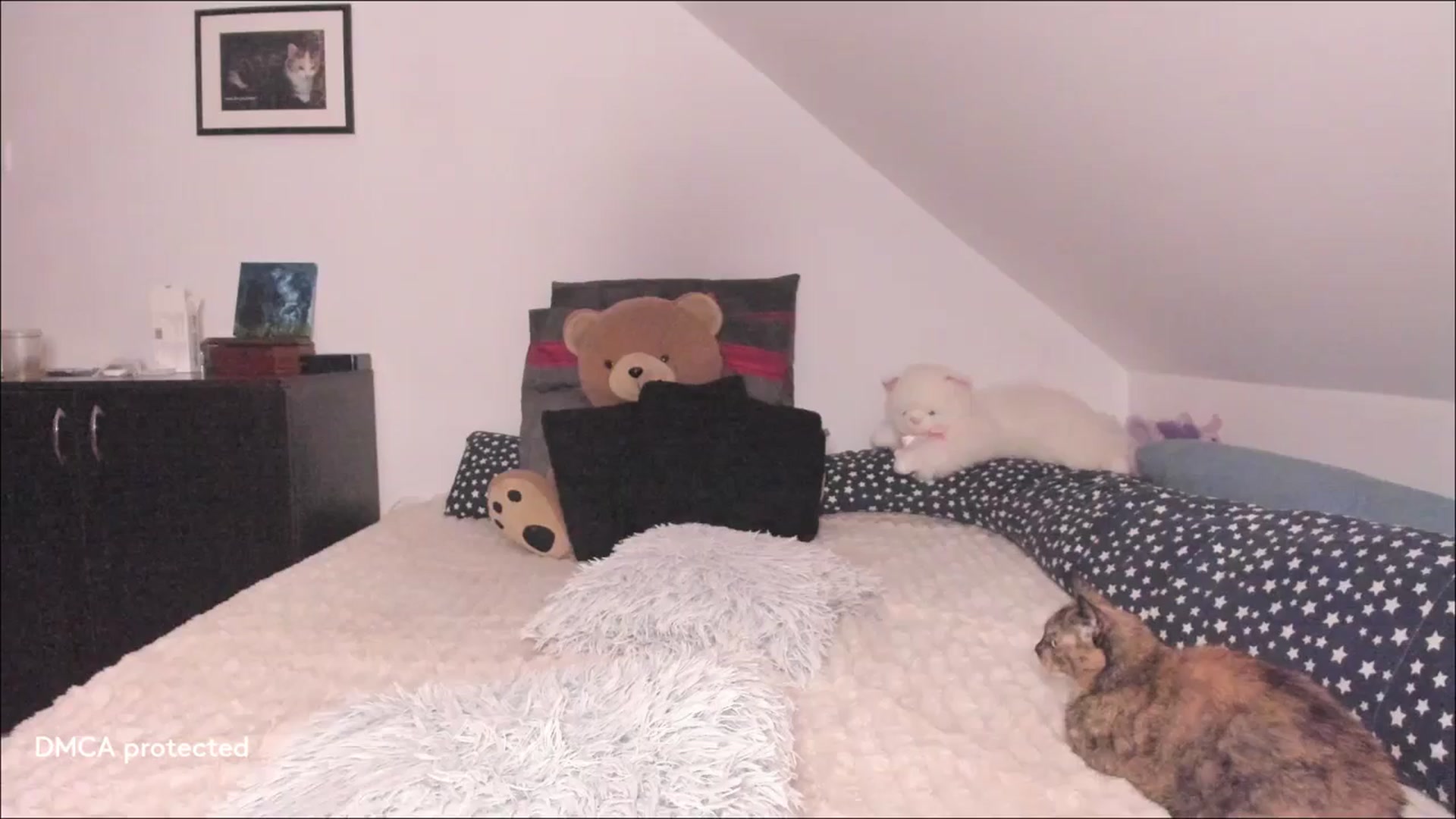 Gallery image thumbnail from Deessert's myfreecams stream on, 04/21/2026, 02:08 image 1 of 20