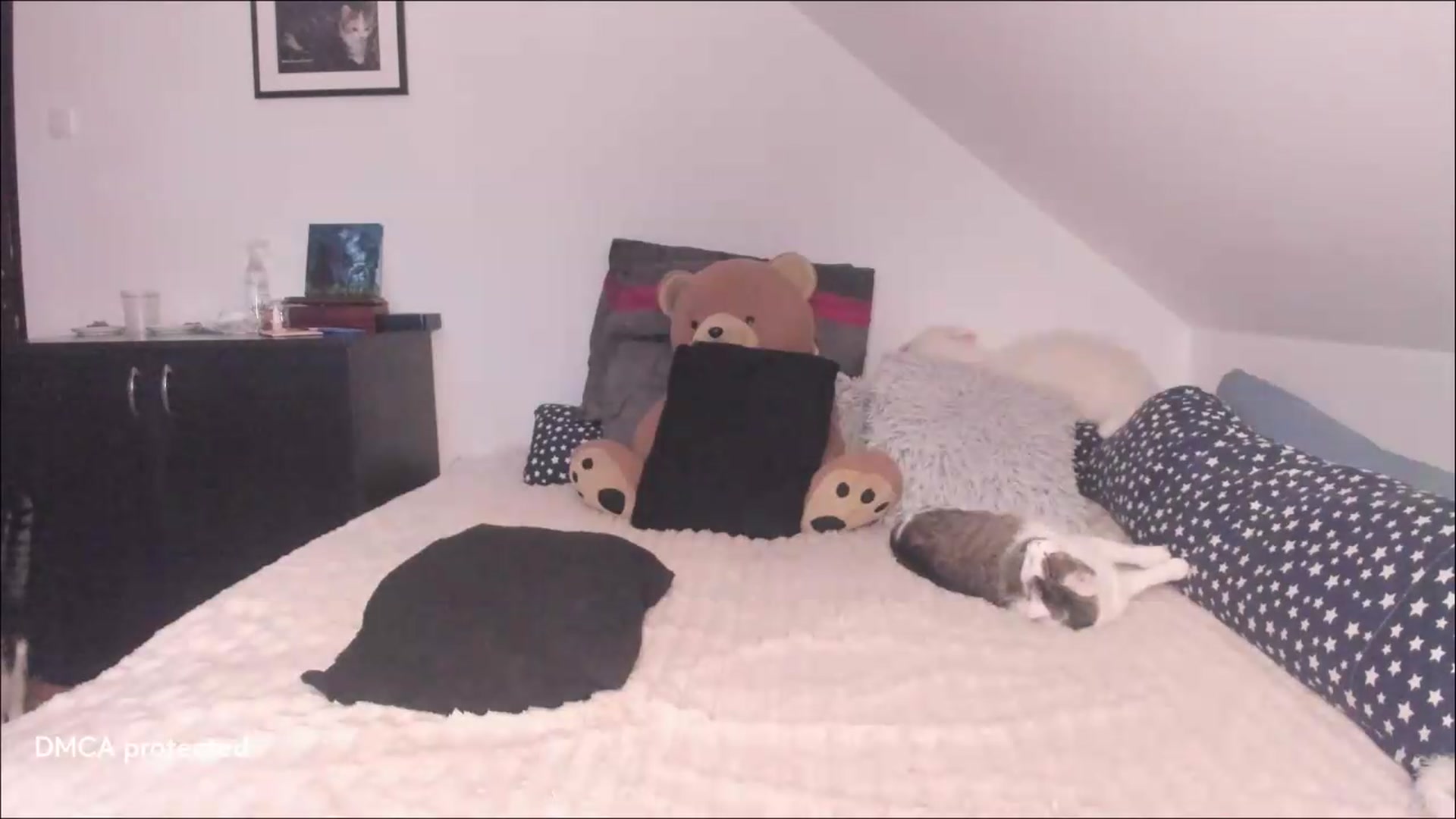Gallery image thumbnail from Deessert's myfreecams stream on, 07/05/2026, 02:33 image 12 of 20