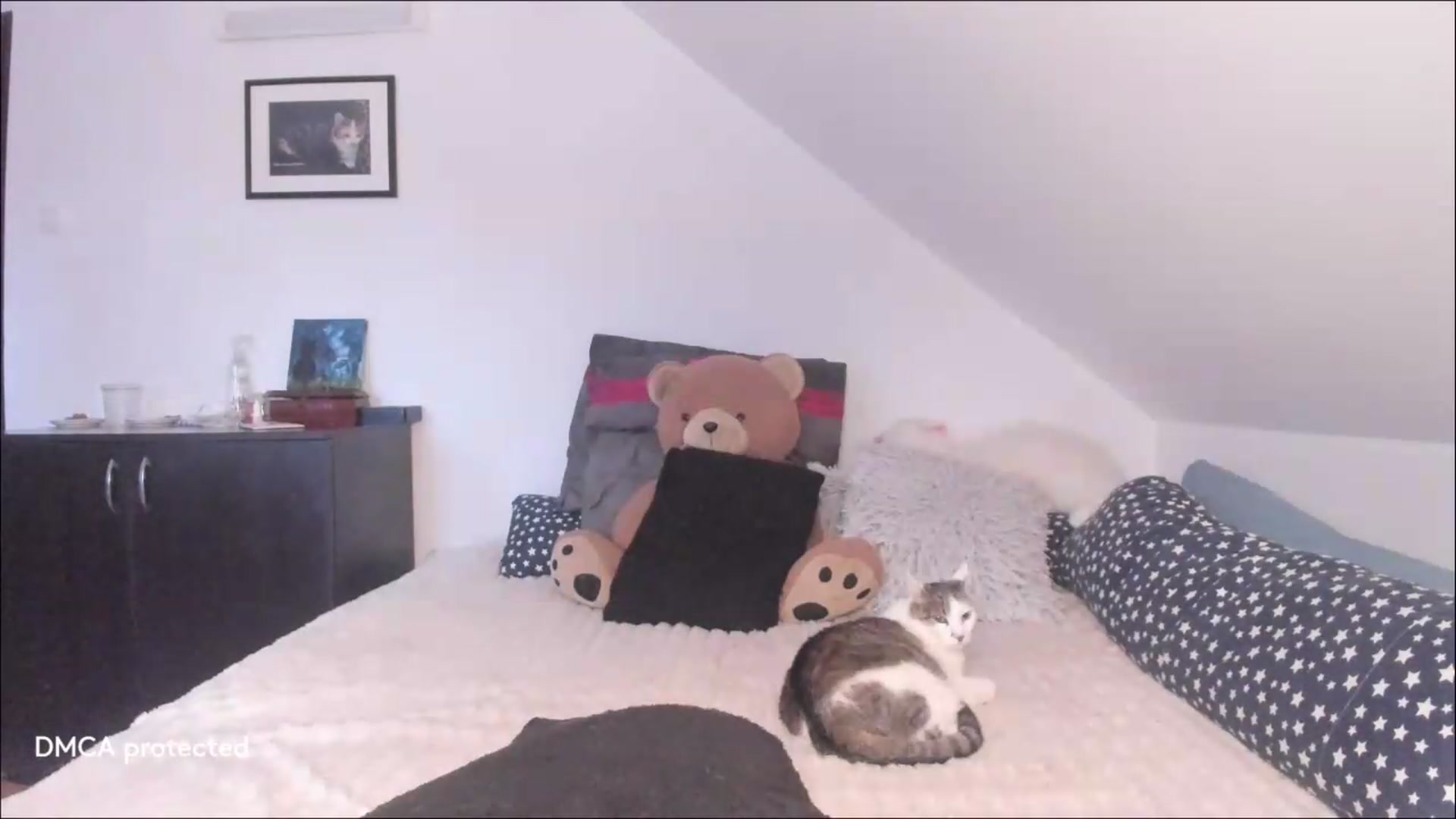 Gallery image thumbnail from Deessert's myfreecams stream on, 07/05/2026, 02:56 image 5 of 20