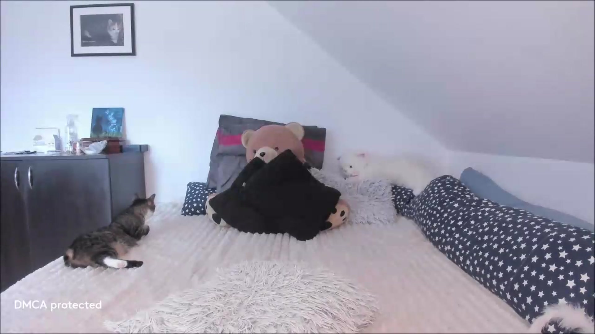 Gallery image thumbnail from Deessert's myfreecams stream on, 07/08/2026, 04:18 image 13 of 20