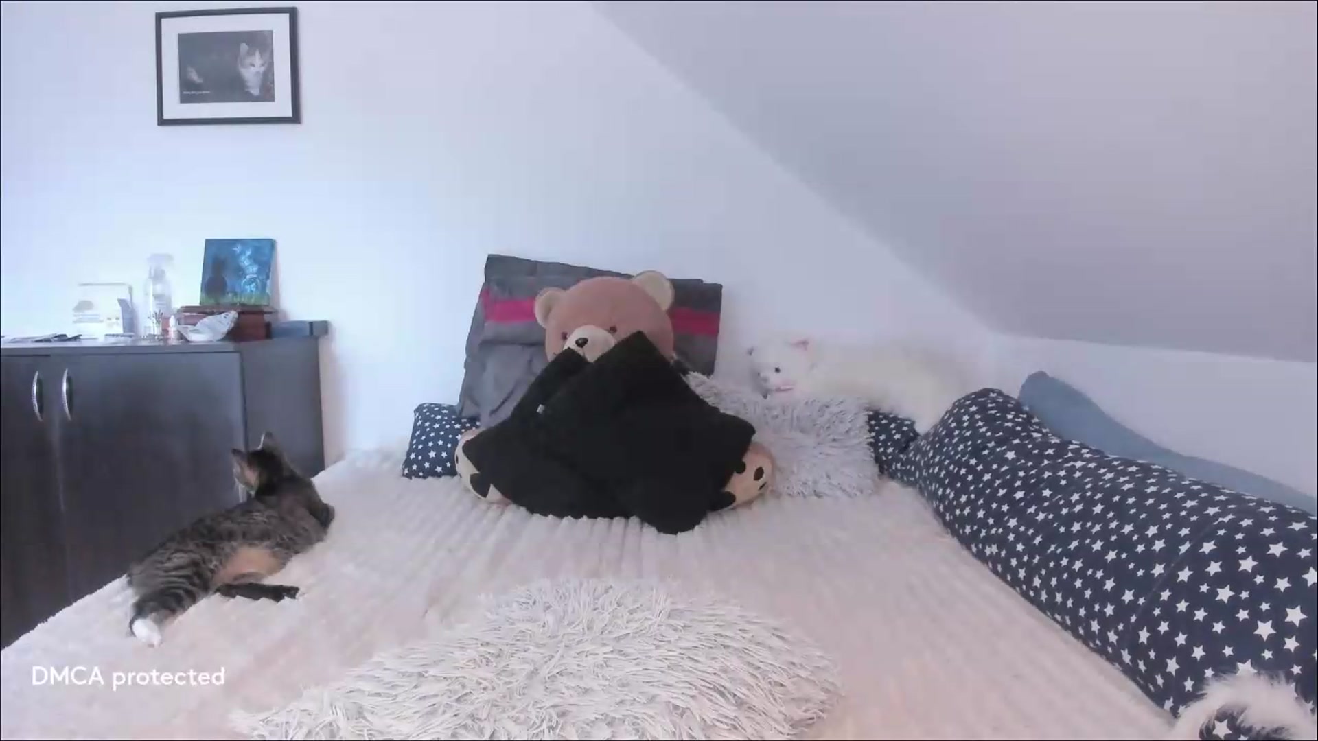 Gallery image thumbnail from Deessert's myfreecams stream on, 07/08/2026, 04:18 image 14 of 20