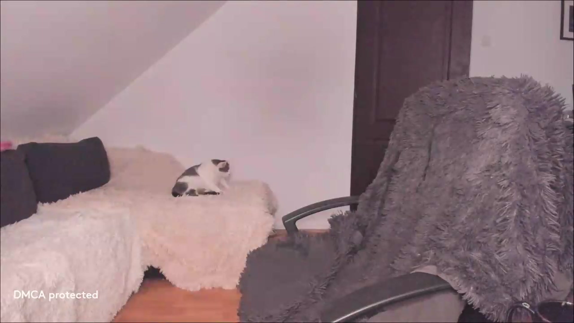 Gallery image thumbnail from Deessert's myfreecams stream on, 07/19/2026, 03:16 image 5 of 20