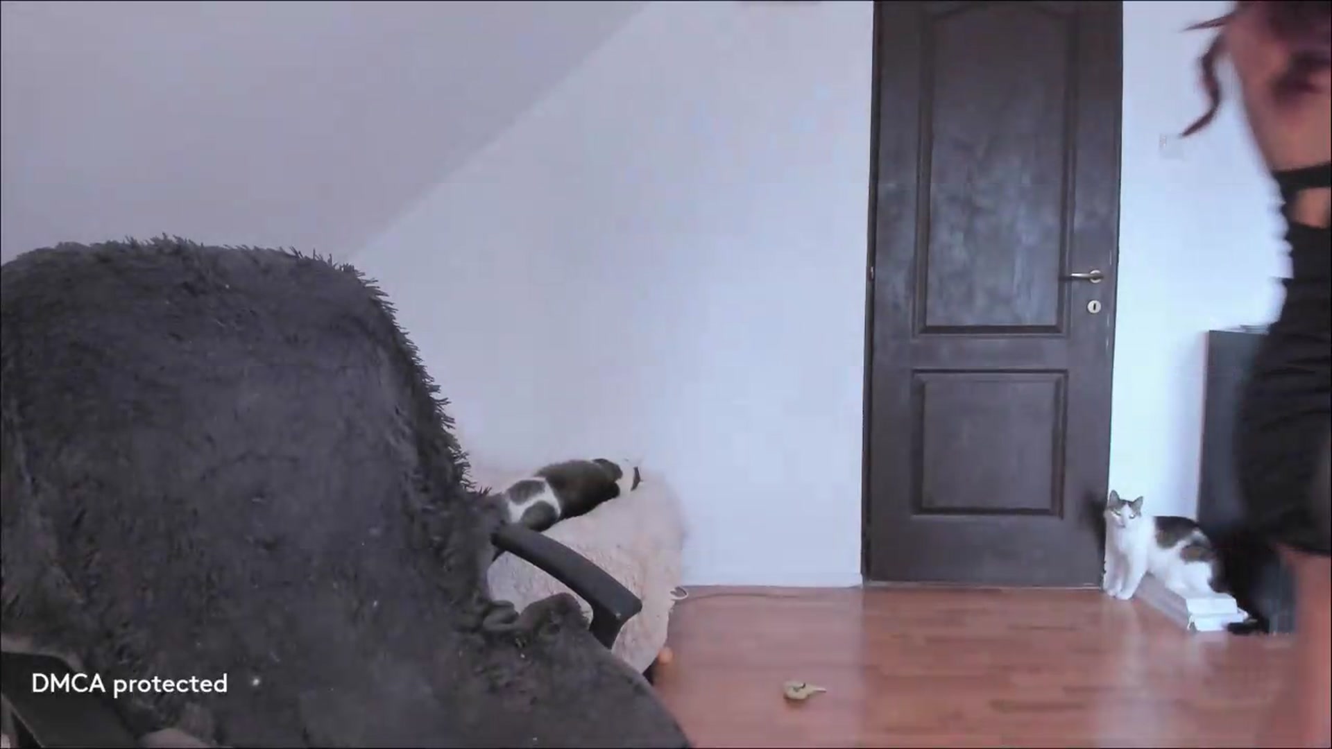 Gallery image thumbnail from Deessert's myfreecams stream on, 07/19/2026, 03:54 image 8 of 20