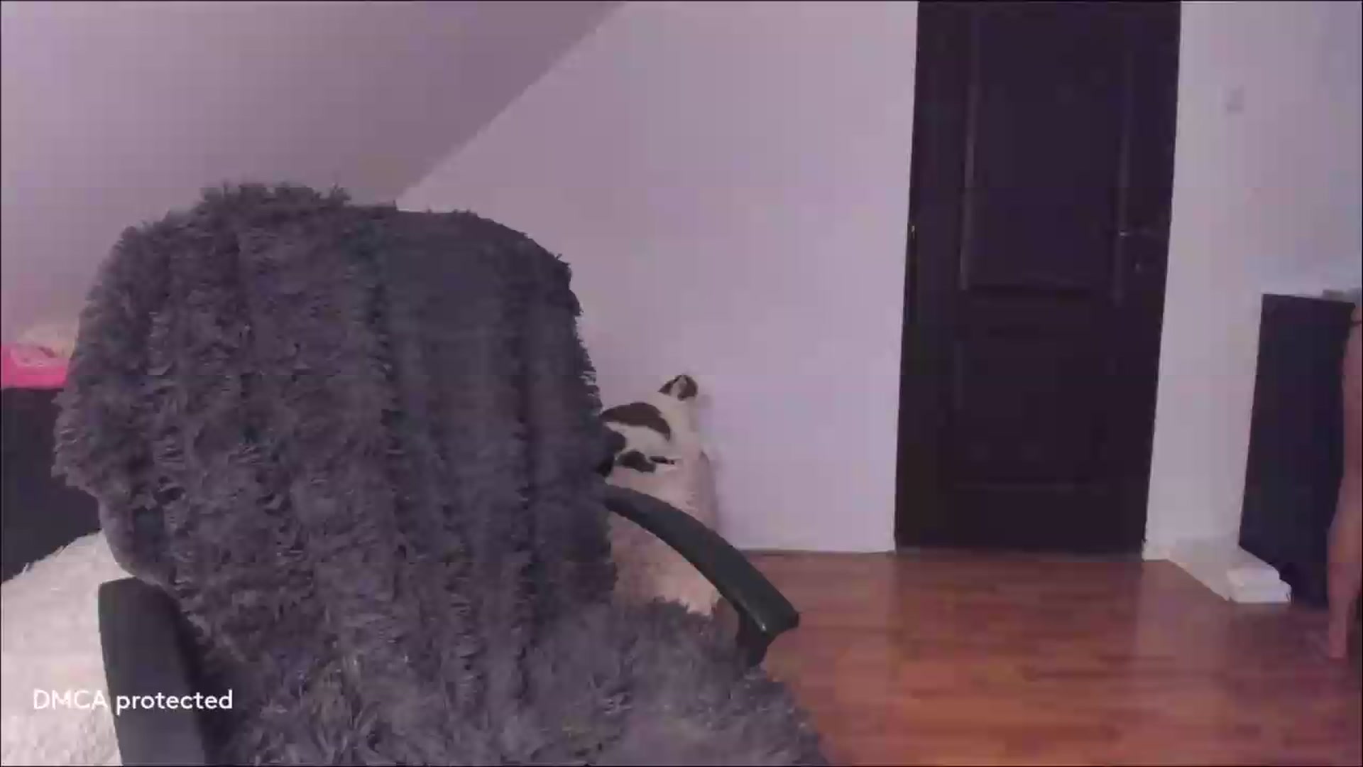 Gallery image thumbnail from Deessert's myfreecams stream on, 08/30/2026, 03:59 image 1 of 20