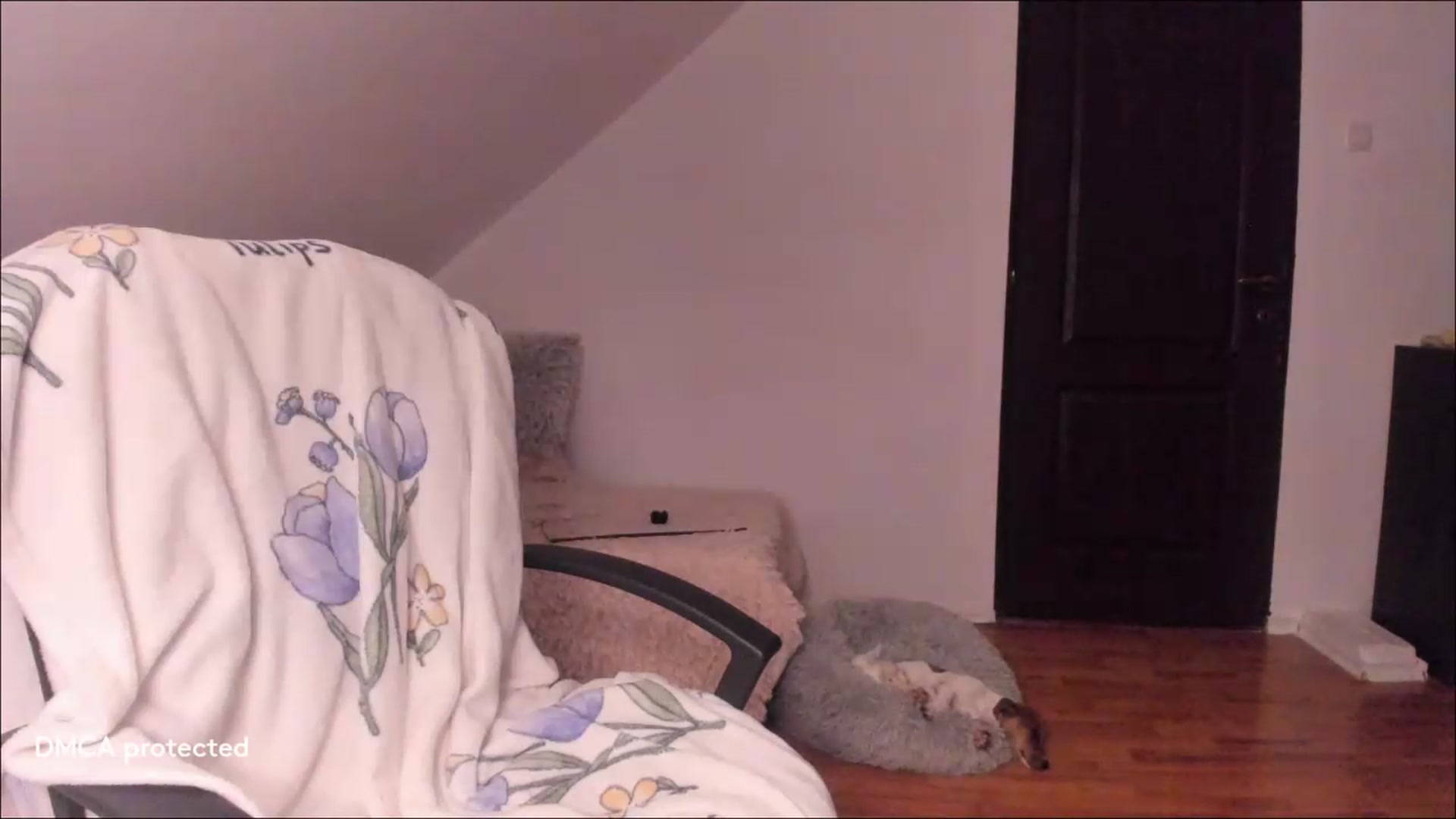 Gallery image thumbnail from Deessert's myfreecams stream on, 09/10/2026, 02:59 image 3 of 20