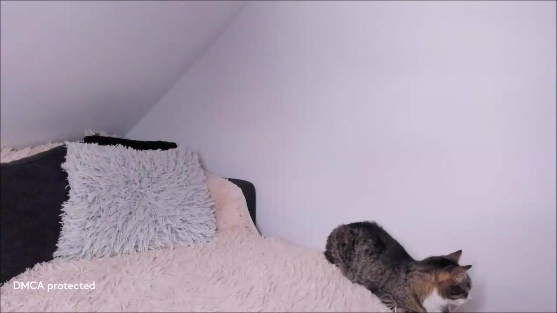 Gallery image thumbnail from Deessert's myfreecams stream on, 09/15/2026, 04:10 image 8 of 20