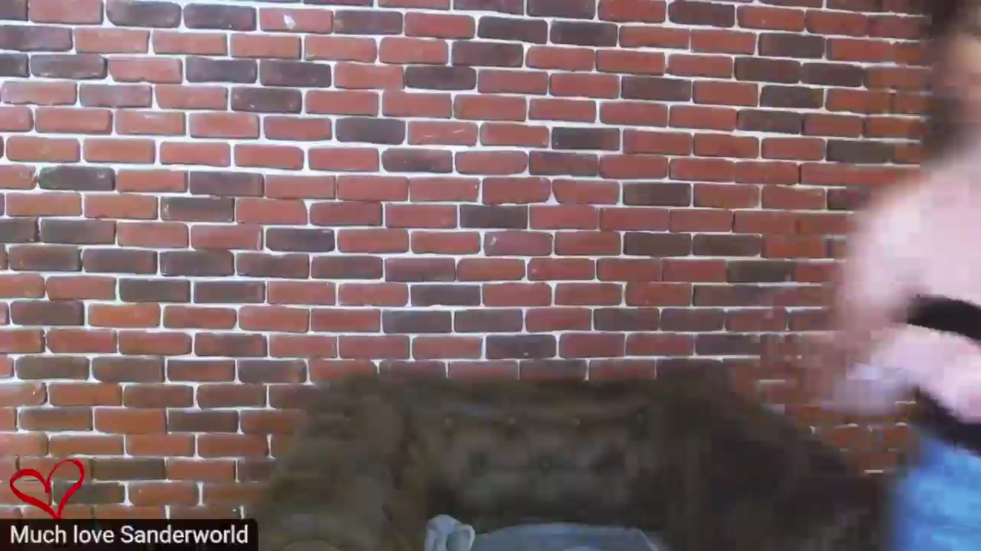 Gallery image thumbnail from DeliceSmile's myfreecams stream on, 02/13/2025, 20:29 image 13 of 20