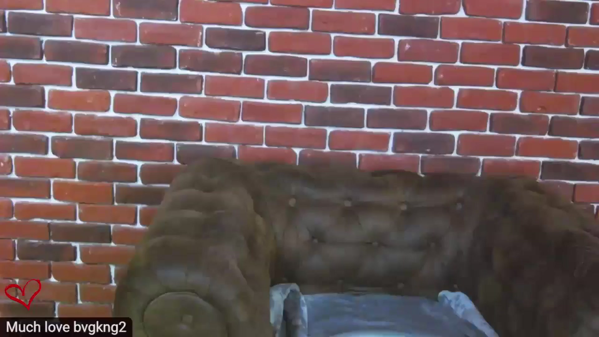 Gallery image thumbnail from DeliceSmile's myfreecams stream on, 02/21/2025, 16:08 image 11 of 20