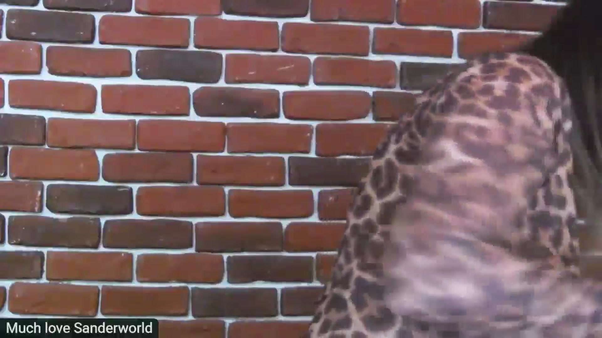 Gallery image thumbnail from DeliceSmile's myfreecams stream on, 03/18/2025, 20:28 image 7 of 20