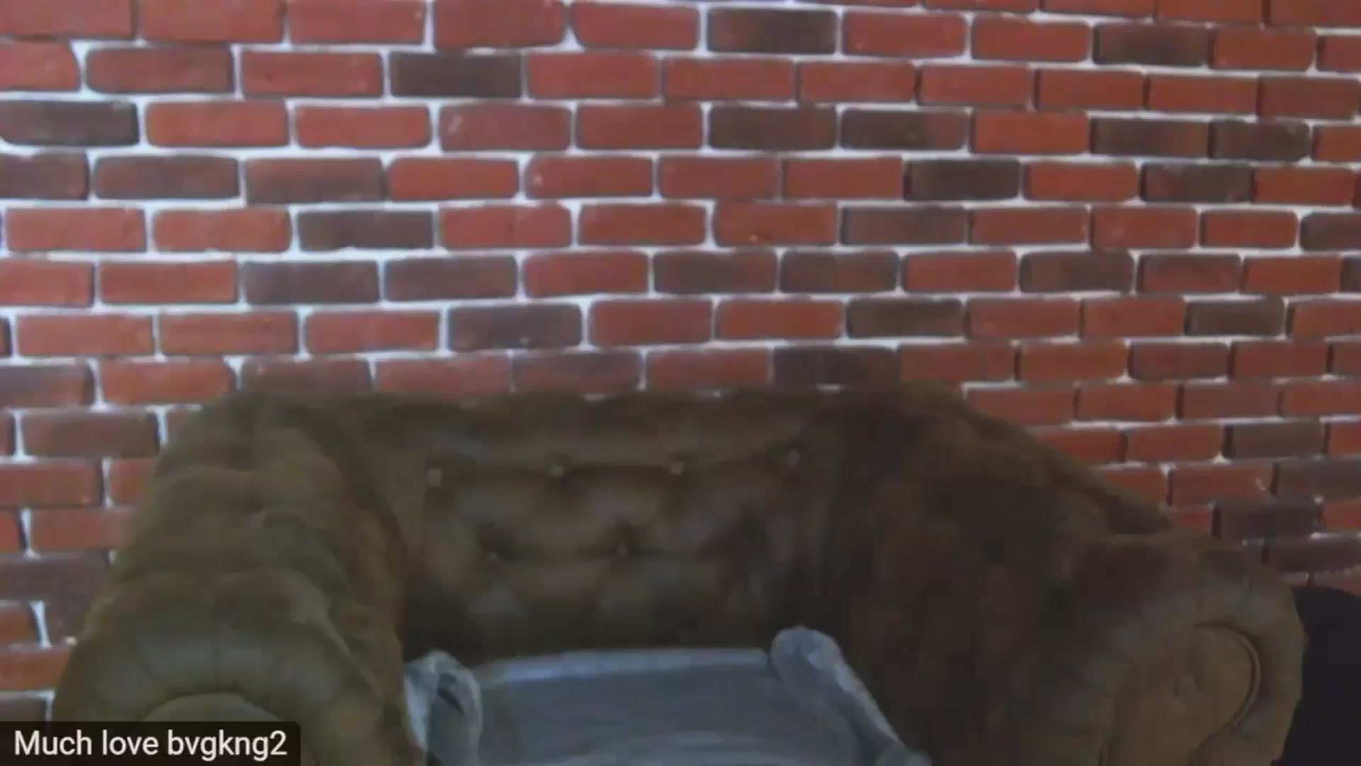 Gallery image thumbnail from DeliceSmile's myfreecams stream on, 10/14/2025, 15:14 image 14 of 20