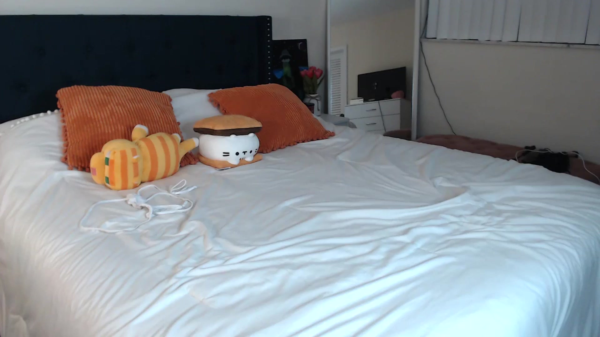 Gallery image thumbnail from DelilahWylde's myfreecams stream on, 09/23/2023, 02:09 image 12 of 20