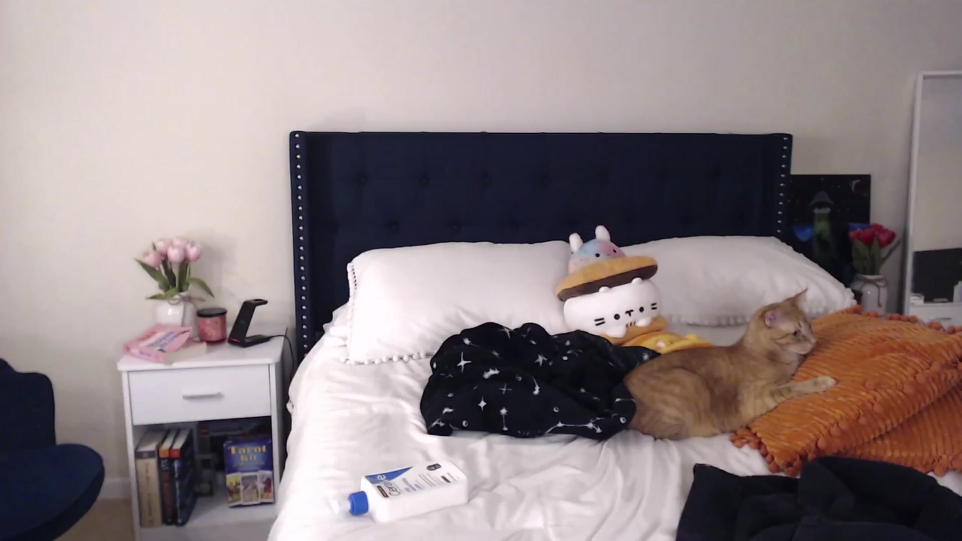 Gallery image thumbnail from DelilahWylde's myfreecams stream on, 09/29/2023, 06:30 image 19 of 20