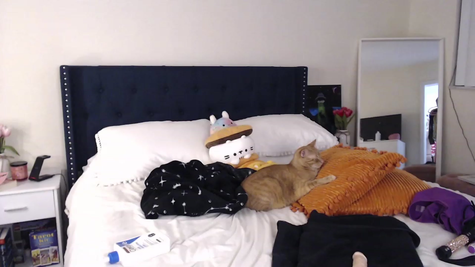 Gallery image thumbnail from DelilahWylde's myfreecams stream on, 09/29/2023, 06:30 image 18 of 20