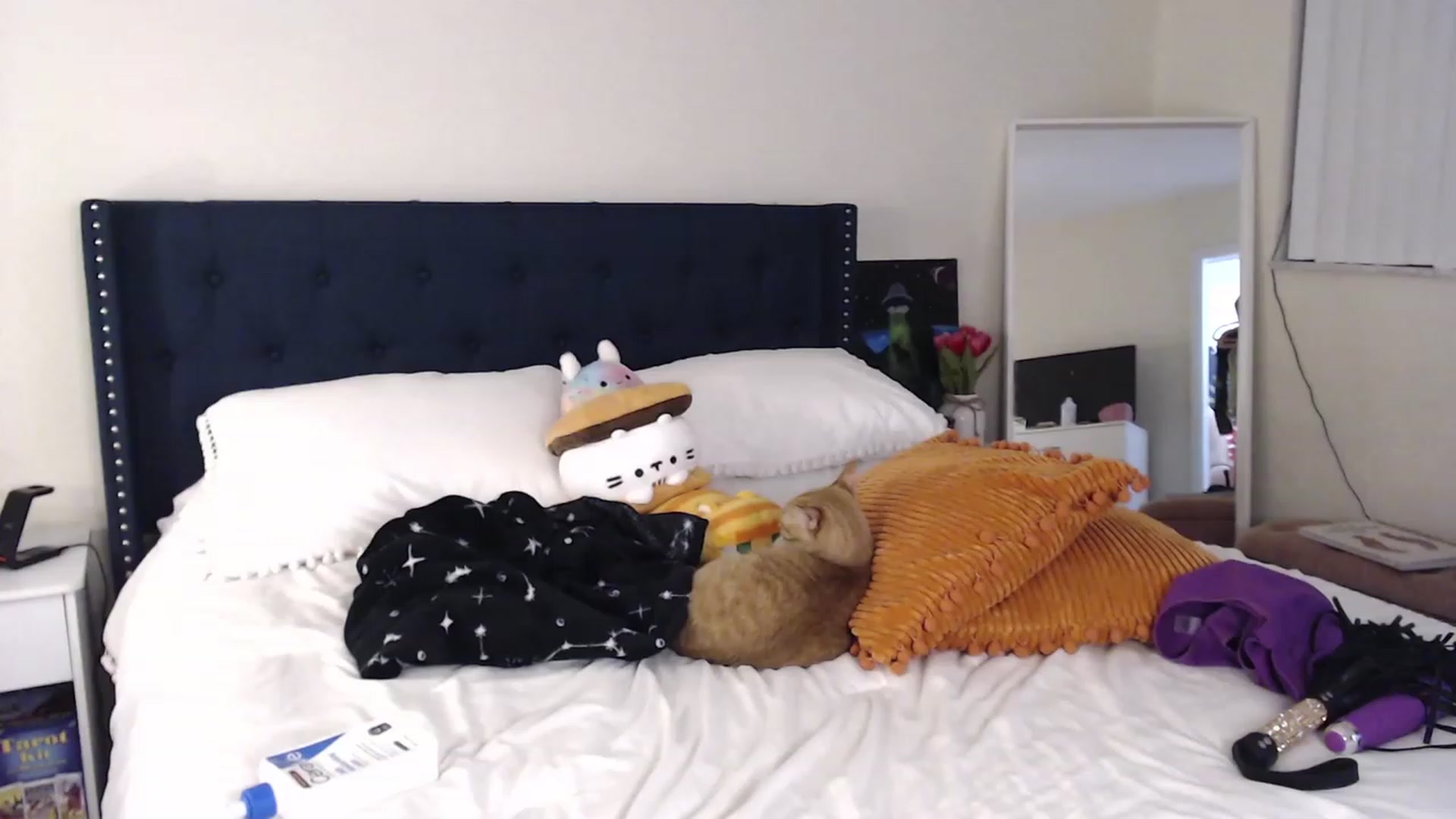 Gallery image thumbnail from DelilahWylde's myfreecams stream on, 09/29/2023, 06:30 image 16 of 20