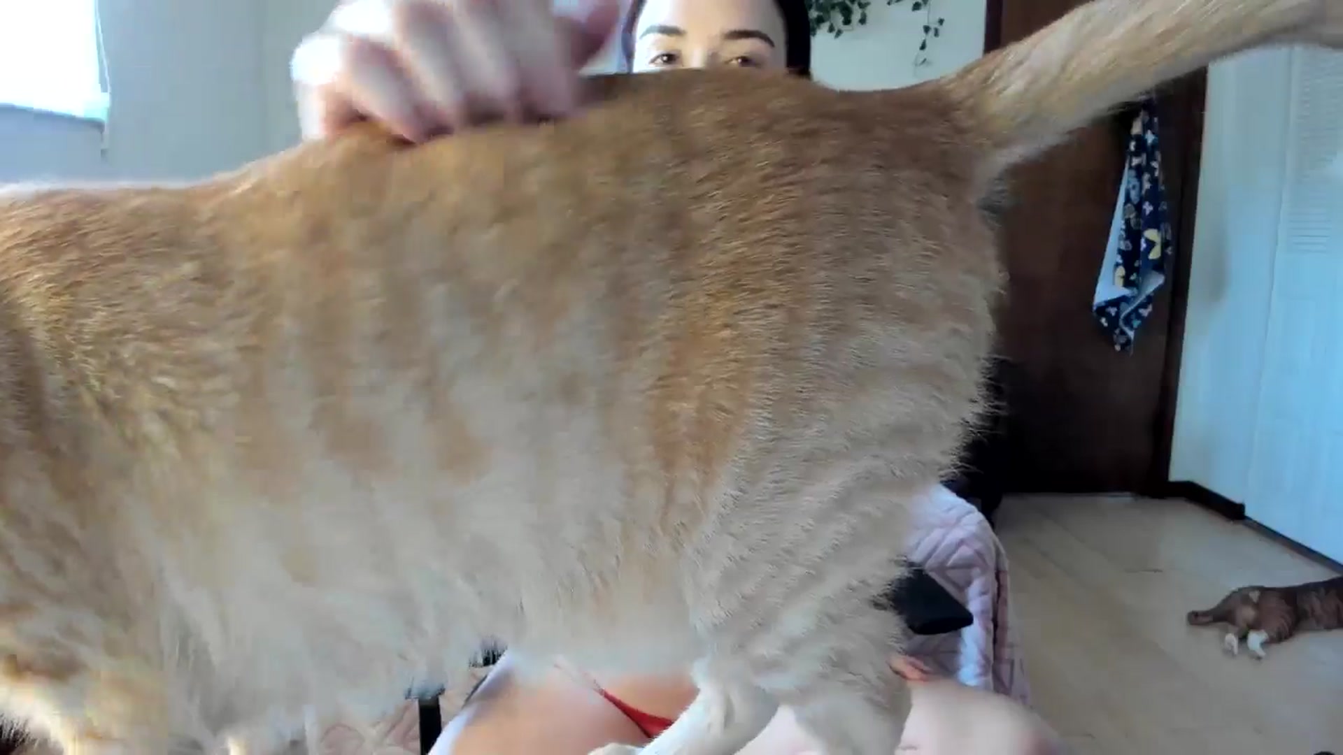Gallery image thumbnail from DelilahWylde's myfreecams stream on, 03/22/2025, 18:20 image 3 of 20