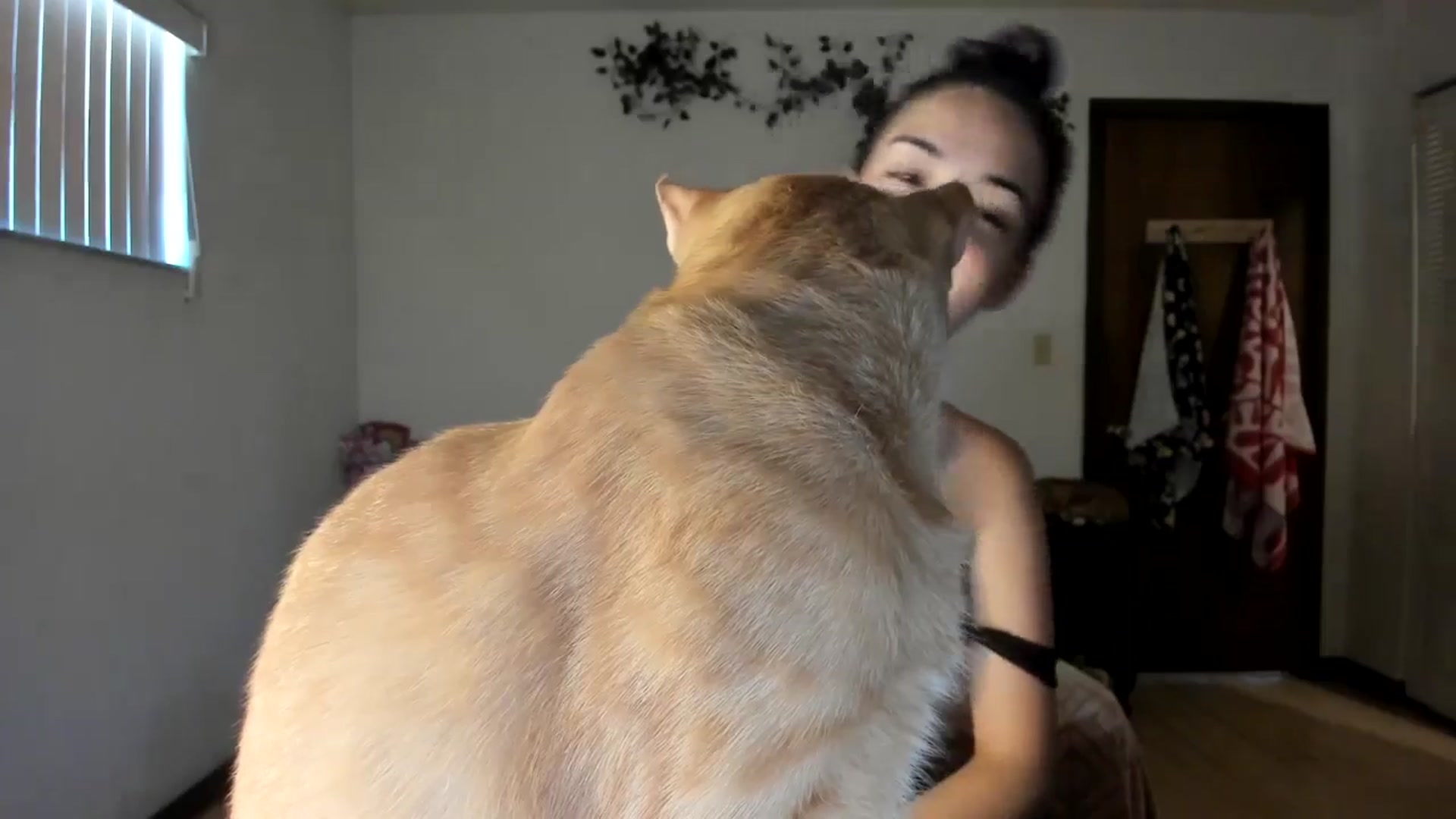 Gallery image thumbnail from DelilahWylde's myfreecams stream on, 04/26/2025, 17:19 image 12 of 20