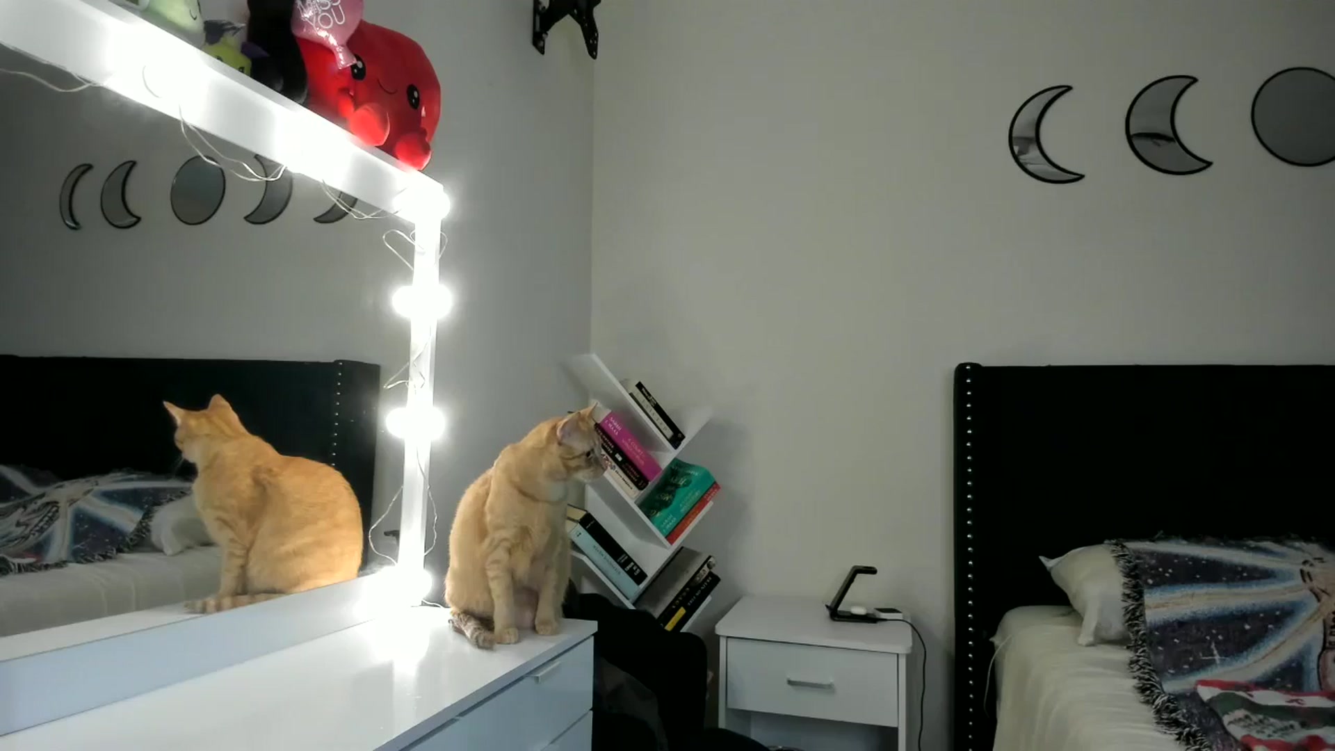 Gallery image thumbnail from DelilahWylde's myfreecams stream on, 06/21/2025, 23:59 image 9 of 20