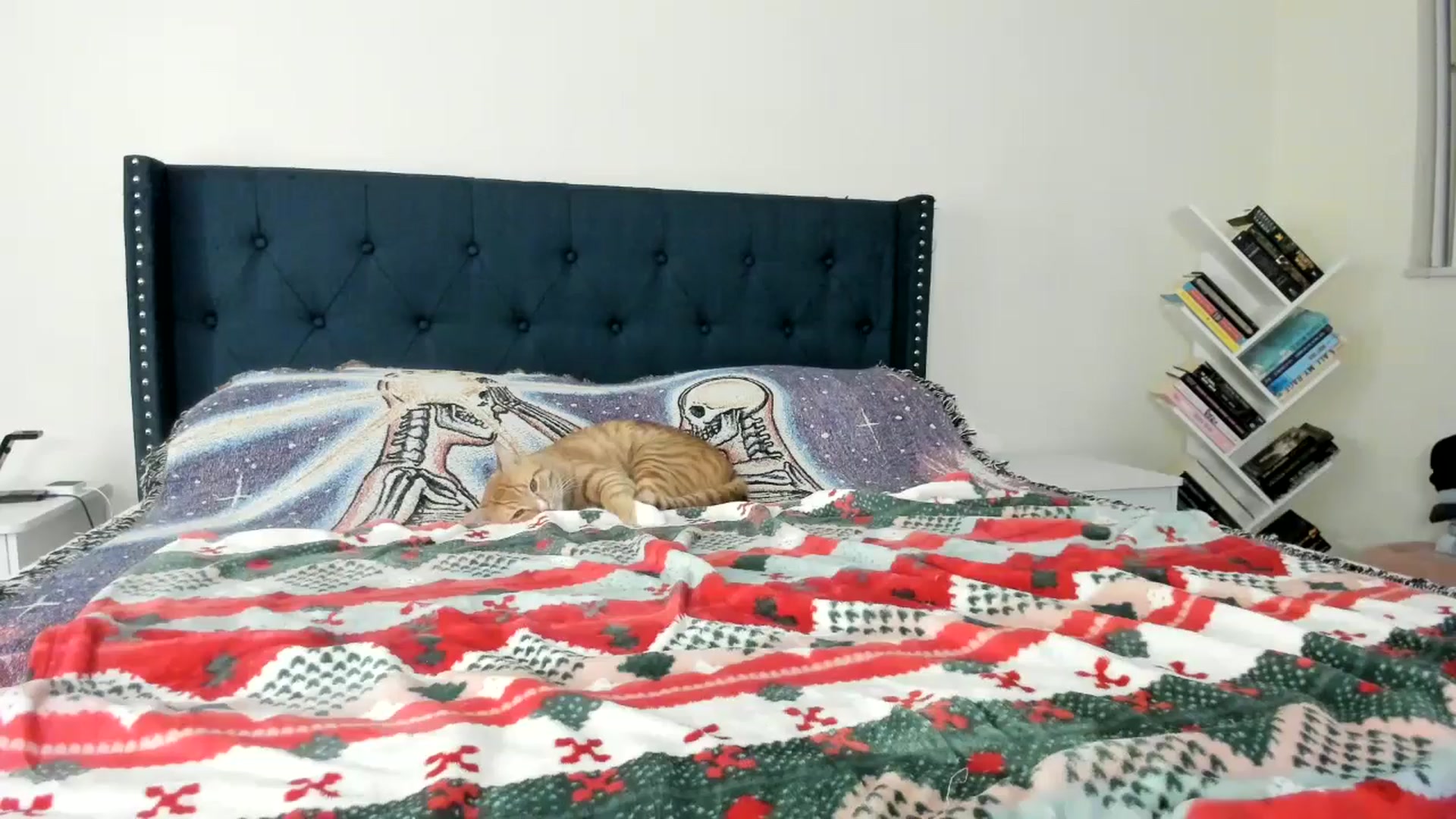 Gallery image thumbnail from DelilahWylde's myfreecams stream on, 06/26/2025, 04:36 image 19 of 20