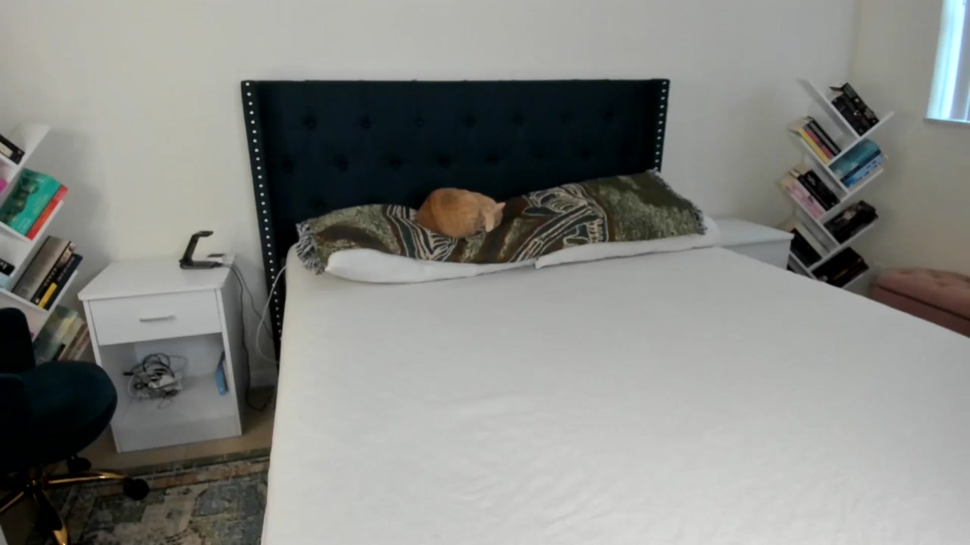 Gallery image thumbnail from DelilahWylde's myfreecams stream on, 06/29/2025, 22:34 image 20 of 20
