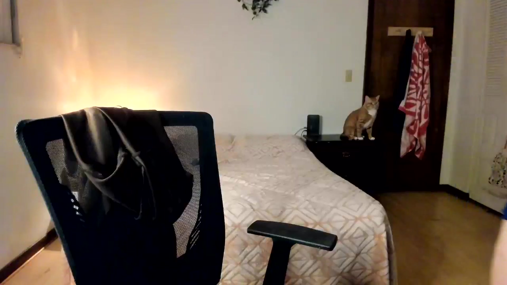 Gallery image thumbnail from DelilahWylde's myfreecams stream on, 02/24/2026, 07:17 image 20 of 20