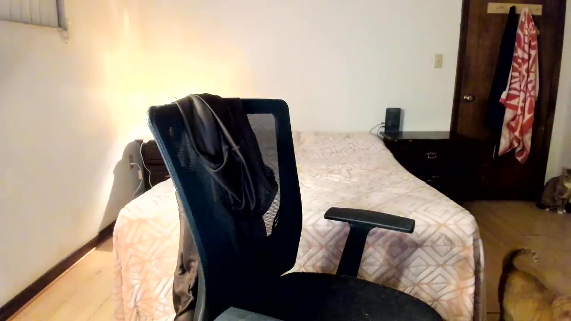 Gallery image thumbnail from DelilahWylde's myfreecams stream on, 02/24/2026, 07:17 image 3 of 20