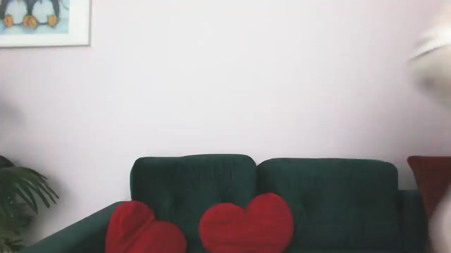 Gallery image thumbnail from Delilah_sweet's myfreecams stream on, 09/15/2025, 16:46 image 20 of 20