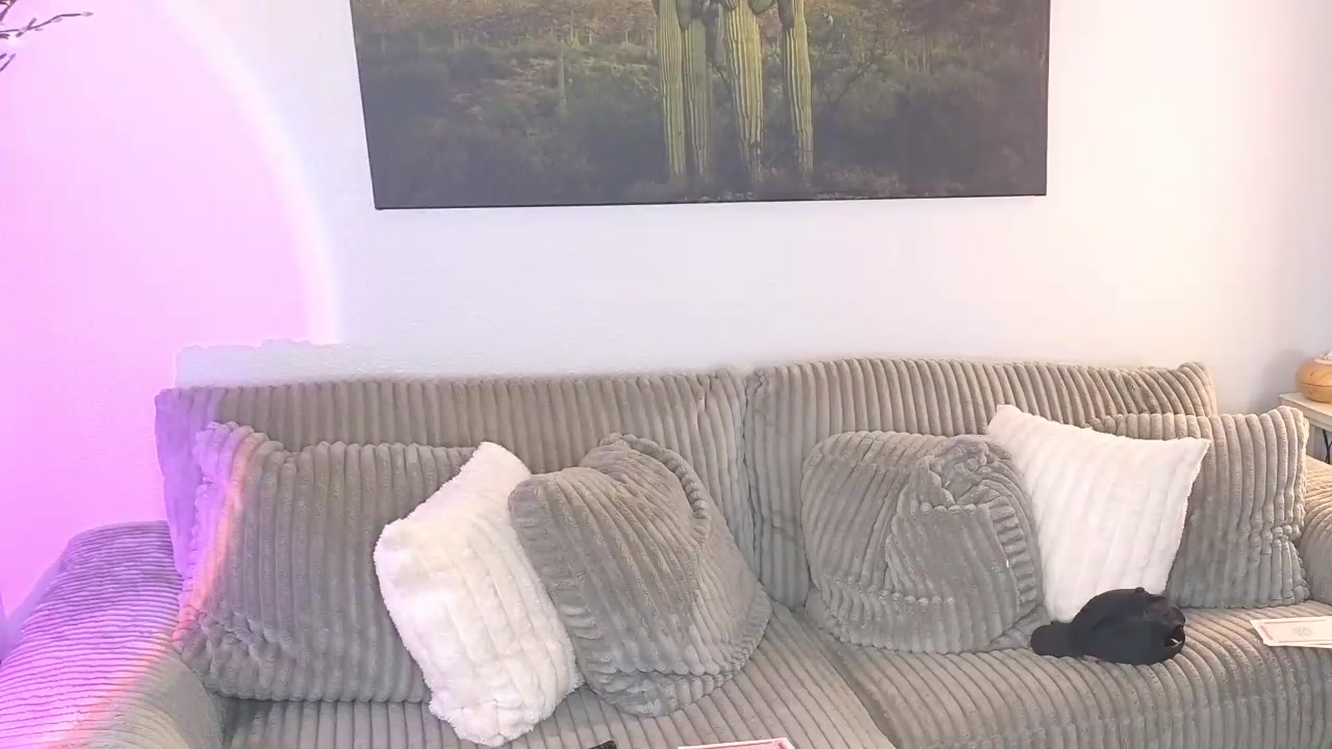 Gallery image thumbnail from Demi_Tatum's myfreecams stream on, 09/04/2026, 23:06 image 3 of 20