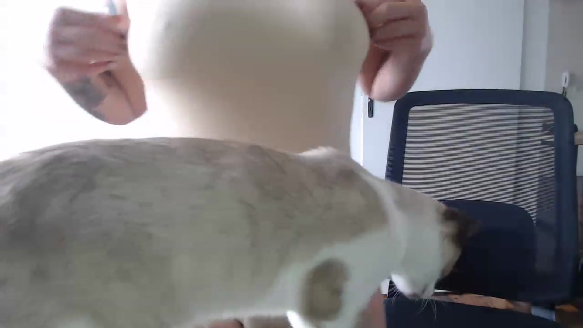 Gallery image thumbnail from Demmetria's myfreecams stream on, 11/23/2022, 21:15 image 17 of 20