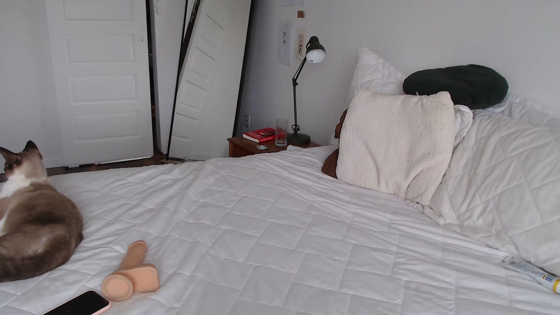 Gallery image thumbnail from Demmetria's myfreecams stream on, 04/12/2023, 18:00 image 11 of 20