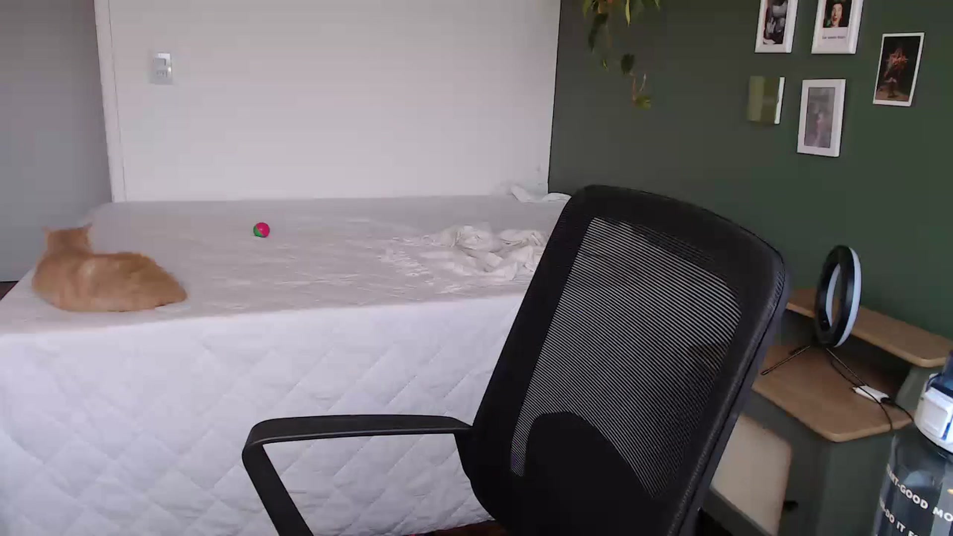 Gallery image thumbnail from Demmetria's myfreecams stream on, 07/10/2023, 20:27 image 8 of 20